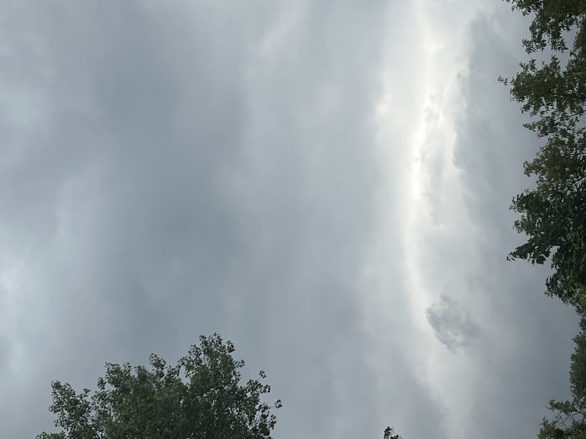 The image captures a cloudy sky with some sunlight peeking through. The sky is predominantly overcast with various shades of gray, suggesting a day that might be preparing for or recovering from rain. A bright, luminous band of light cuts across the right side of the frame, indicating a break in the clouds where the sun is shining more intensely. This light illuminates some of the surrounding clouds, creating a dramatic contrast.
Framing the sky are the tops of trees, visible in the lower left and right corners of the image, as well as along the right edge. The foliage appears green and dense, suggesting it is likely late spring or summer. The perspective is looking upwards from beneath the trees, emphasizing the vastness of the sky.
The overall mood is somewhat somber due to the heavy cloud cover, yet the presence of sunlight offers a hint of hope or transition. The scene is natural and outdoors, with no discernible man-made objects or people. The time of day is ambiguous, but the quality of light suggests it could be late afternoon or early morning when the sun is lower in the sky. There is no visible text in the image. The context of Warsaw, Poland, suggests an urban or suburban natural setting, consistent with the presence of trees.