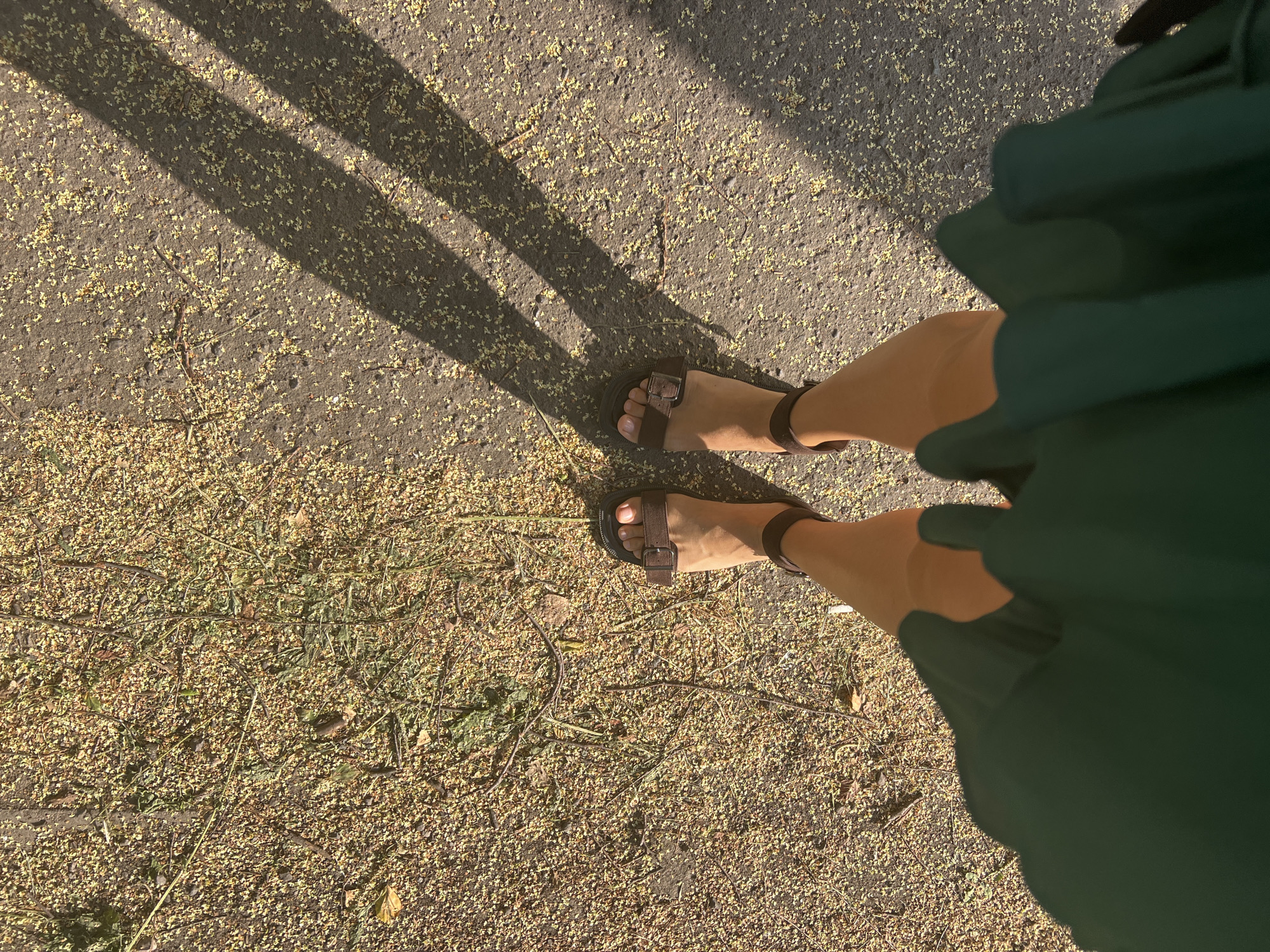 The image shows a first-person perspective of a person standing on a paved surface covered with fallen yellow petals and some debris. The person is wearing dark brown sandals and a dark green dress that obscures the lower part of their body. Two shadows, cast by an unseen object or person, stretch across the paved surface from the right side of the frame. The lighting suggests it is daytime, with the sun casting long shadows. The environment appears to be outdoors, possibly a park or sidewalk, given the presence of fallen plant matter and paved ground.