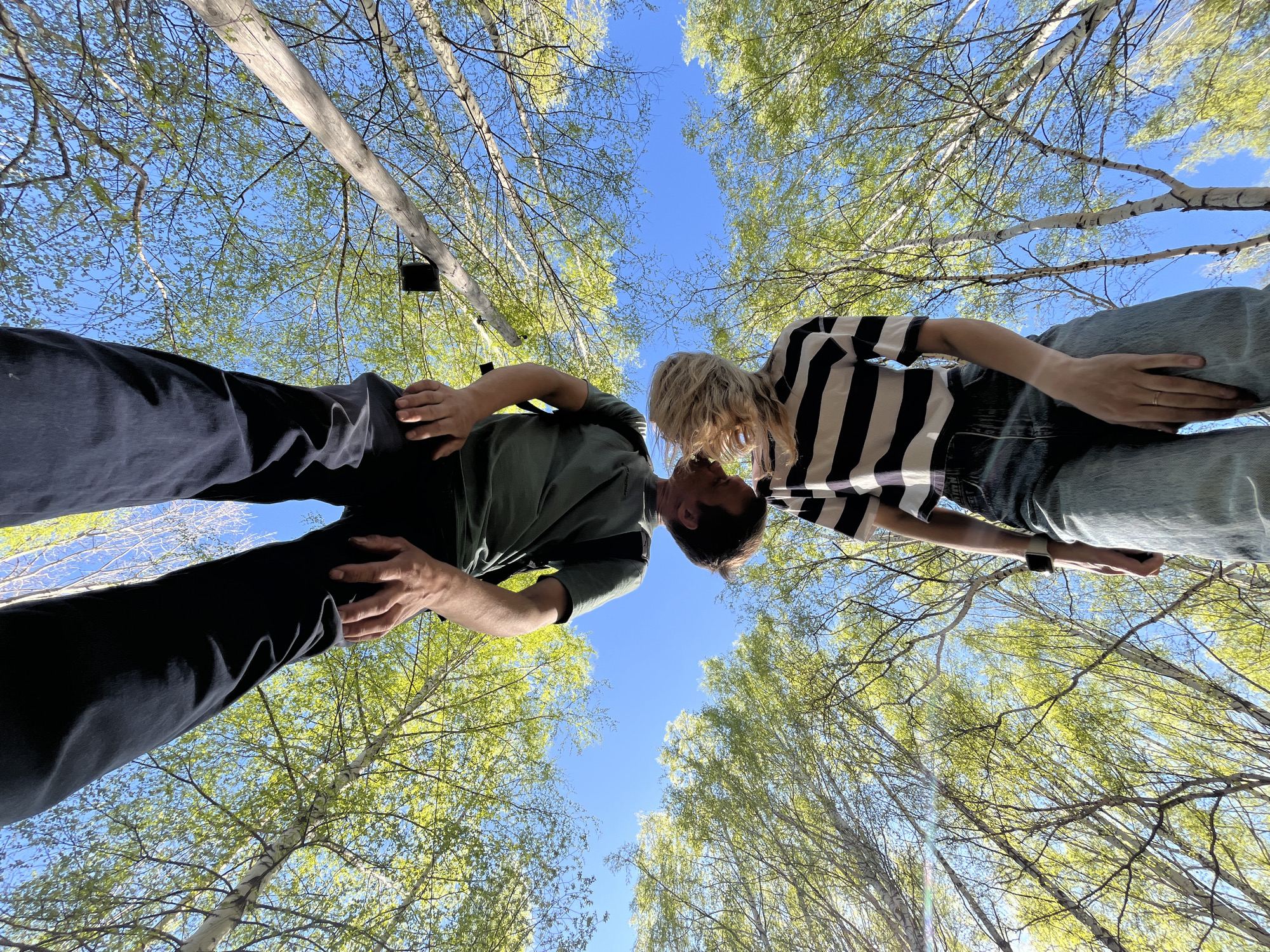 Viewed from below, a couple stands nose to nose under a blue sky surrounded by birch trees with fresh green leaves. The person on the left wears dark pants and an olive-green shirt. The person on the right wears a striped shirt and jeans. The location is in Chaikovsky, Russia.