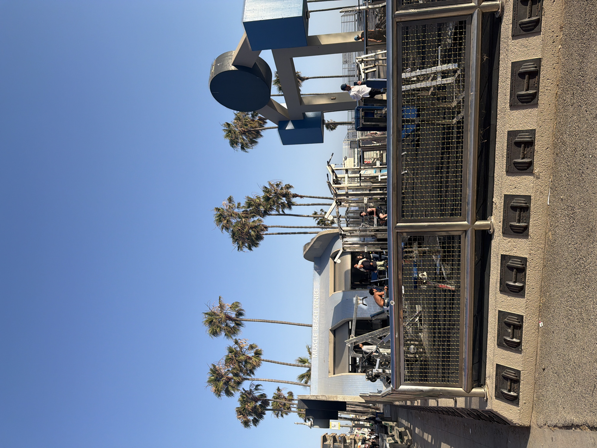 The image depicts Muscle Beach Venice, an outdoor weightlifting area in Venice, Los Angeles, California. The scene features palm trees, the blue and white building with "MUSCLE BEACH VENICE" inscribed on its side, and various weightlifting machines with people exercising. A metal fence with dumbbell-shaped plaques runs along the bottom right of the image. The sky is clear and blue.