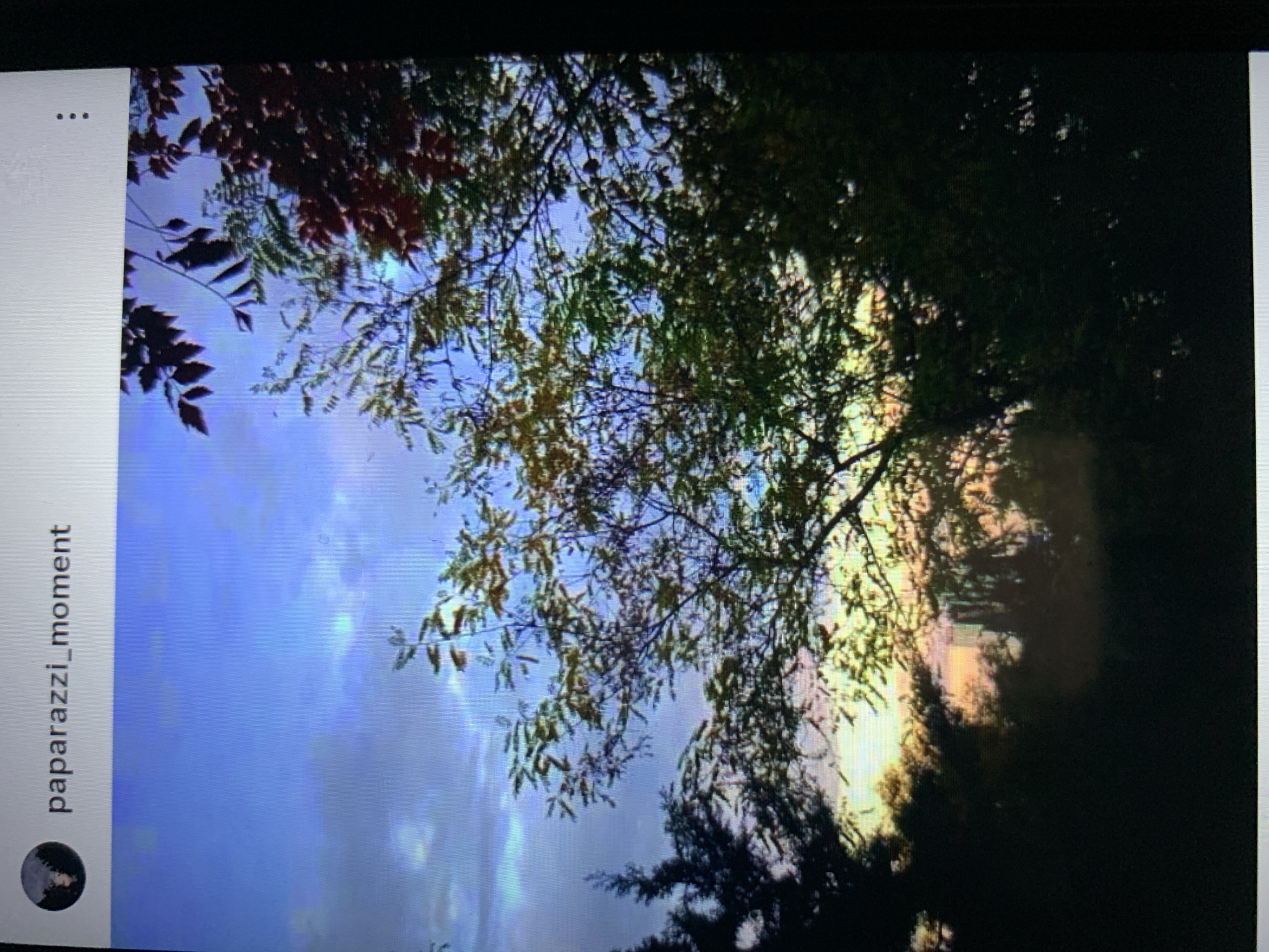 The image displays a screenshot of an Instagram post. The username "paparazzi_moment" is visible at the top left. The main content of the image is a photograph taken from a low angle, looking up through trees towards a sky with scattered clouds. The sky transitions from a pale blue at the top to warmer tones of yellow and orange near the horizon, suggesting it might be sunrise or sunset. Silhouettes of trees and branches dominate the foreground and midground, with some leaves appearing green and others tinged with red. The bottom portion of the image is very dark, obscuring any details of the ground or surroundings. There are no identifiable people or specific landmarks that would indicate a location in the city of Lymanka, Ukraine.