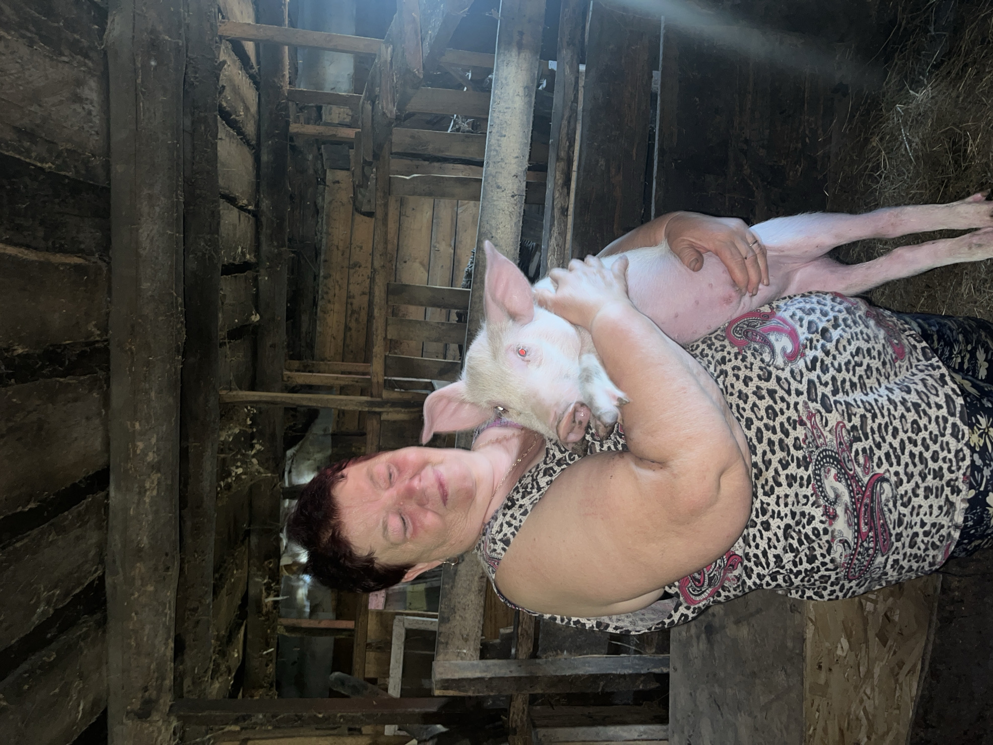 A woman lies on her back, holding a light-skinned piglet in her arms. The piglet is lying on her chest, seemingly relaxed. The woman has short, dark hair and is wearing a patterned dress. The surrounding environment appears to be a rustic, wooden structure, possibly a barn or shed. The location is Бахмутово, Russia.