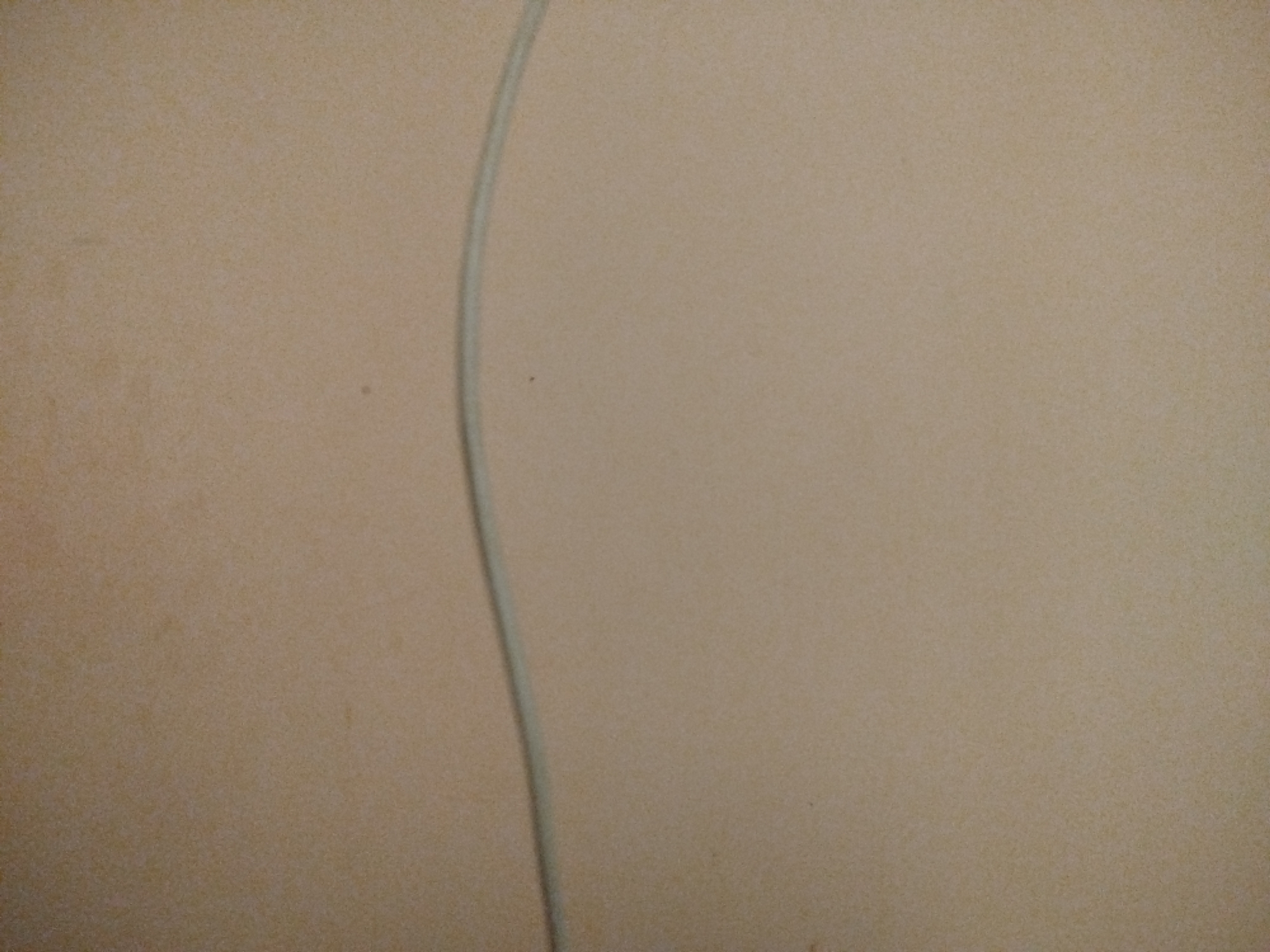 The image shows a close-up, slightly out-of-focus view of a plain, light-colored textured surface, possibly a wall or fabric. A thin, curved, light-colored line runs vertically down the left side of the frame, appearing to be a wire or cord. There are a few small dark spots scattered on the surface. The image does not contain any elements that would allow for its location to be identified in Lassan, Pakistan or any other specific geographical area.