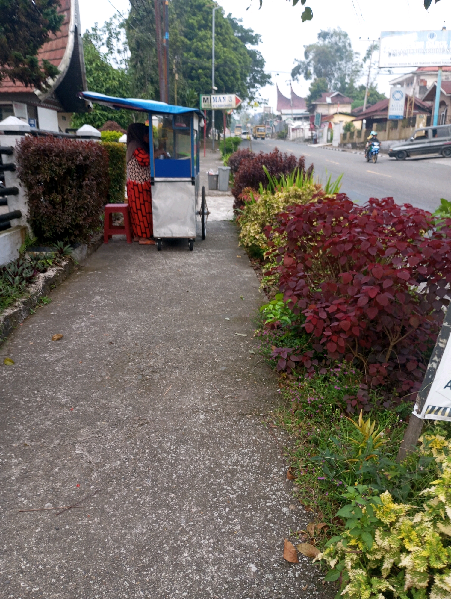 A person wearing a hijab and a patterned dress stands behind a food cart on a concrete sidewalk. The food cart is silver and blue and has wheels. A red stool is next to the cart. Dense, dark red foliage lines the sidewalk to the right of the cart, with smaller green and yellow plants in front of it. A street stretches into the distance, lined with buildings and trees. A sign in the distance reads "M.AN 3". Cars and a motorcycle are visible on the street. The scene appears to be in a residential or commercial area of Padang Panjang, Indonesia.