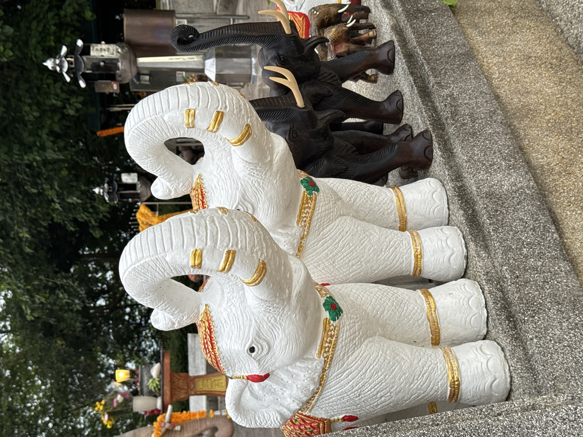 This media file shows a collection of elephant statues in Rawai, Thailand. The statues are arranged in a row, with two prominent white elephant statues in the foreground, facing left. These white elephants are adorned with gold accents on their tusks, ears, and decorative sashes around their necks and bodies. The sashes feature red and green details, with a gold trim.
Behind the white elephants, a series of dark-colored, possibly wooden, elephant statues are visible, also arranged in a row. These darker elephants have lighter-colored tusks. The statues are placed on a textured, gray surface that appears to be a concrete or stone pathway. To the left of the statues, lush green foliage suggests an outdoor setting with trees. In the background, glimpses of other structures and decorations, possibly religious in nature, can be seen, including what appears to be a lamp and floral arrangements.
The image is taken at eye level, with the perspective skewed due to the upright orientation of the elephant statues. The lighting suggests it could be daytime, but the specific time is not discernible. The overall mood is one of decorative display, perhaps in a temple, shrine, or market setting. There is no visible text in the media file.