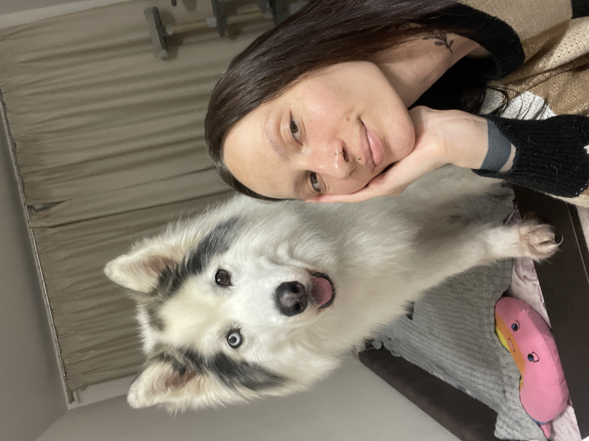 A woman with dark hair and a nose ring is leaning her face on her hand and smiling while posing with a white and gray dog with heterochromia (one blue eye and one brown eye). They are both looking at the camera. The dog is panting with its tongue sticking out. They are both lying on a bed. A pink plush toy lies nearby. The background includes a curtain and exercise equipment. There is no evidence to indicate the city or country where this image was taken.