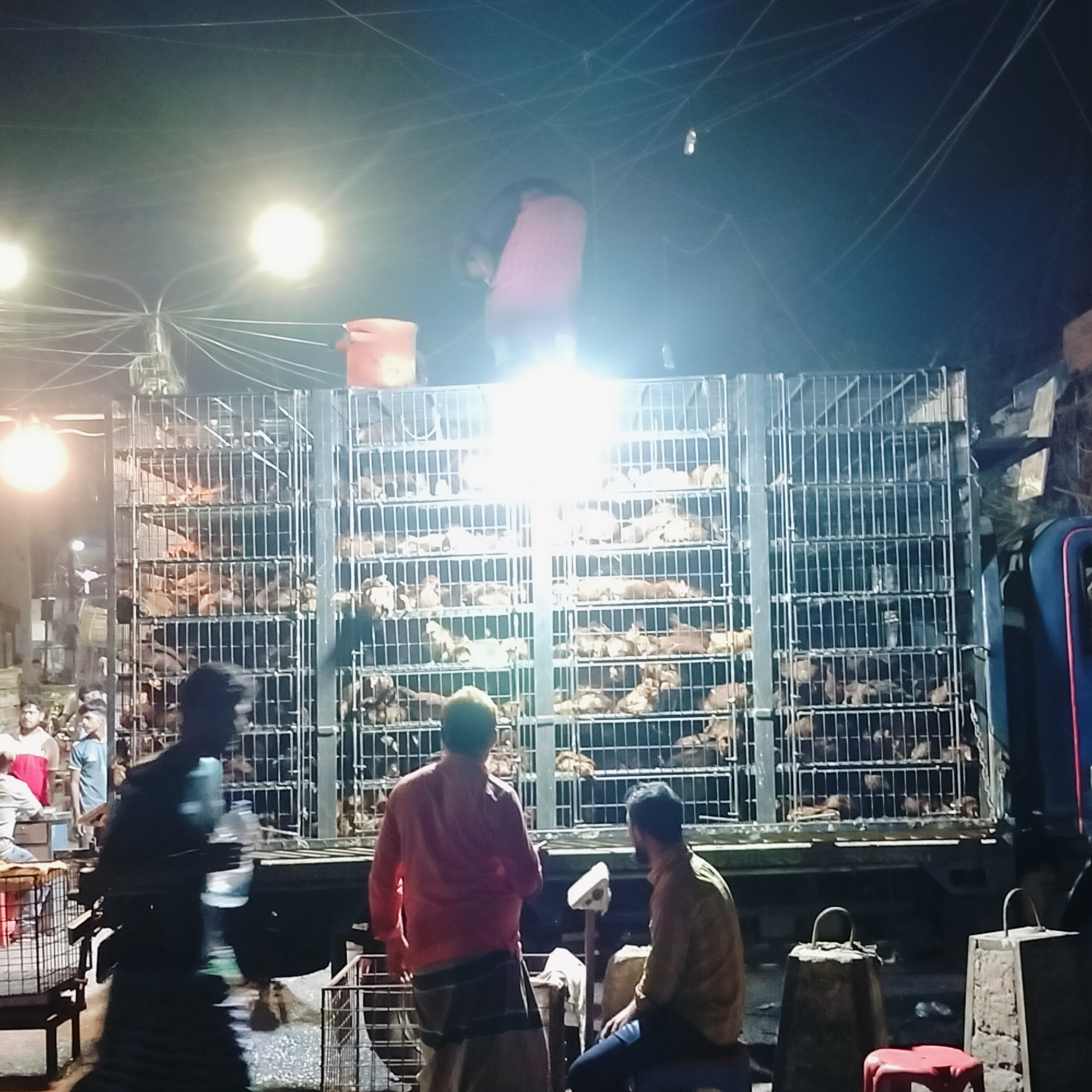 The image depicts a nighttime scene in what is presumed to be the city of Dhaka, Bangladesh. A large truck with a metal cage structure on the back is filled with poultry, likely chickens. There are multiple layers of cages filled with the birds. A person stands atop the cage structure.
Three men are visible in the foreground. One is walking past, carrying a plastic water bottle. Another man, wearing a pink shirt and a sarong, stands near the truck. A third man is seated on a low stool.
Several other individuals are visible in the background. Street lighting casts a bright glow on the scene, highlighting the cages and the people nearby. Electrical wires crisscross the sky. Several metal weights and a small red stool are on the ground near the truck.