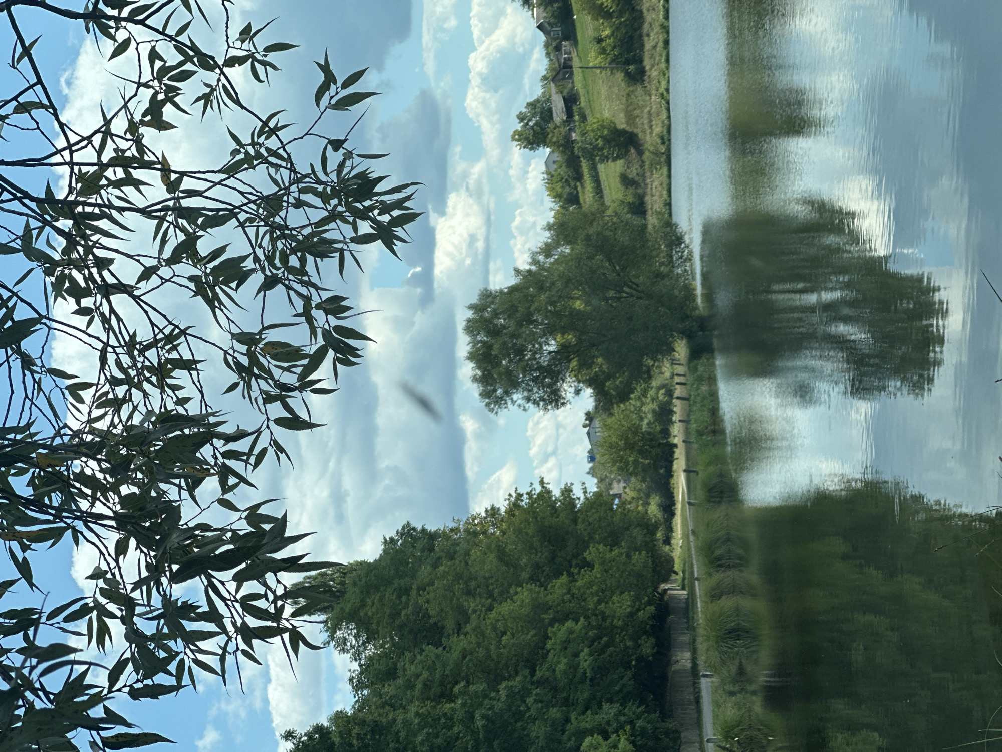 This is a landscape photograph taken in the village of Makiv, Ukraine. The foreground is dominated by a body of water reflecting the sky and surrounding trees. In the mid-ground, there is a lush green tree on the left bank of the water and a path lined with grass and posts. Beyond the water, the background features a sloping green hill dotted with trees and a cluster of houses. The sky is blue with scattered white clouds. The image is framed at the top by the branches and leaves of a tree. There are no people visible in the image.