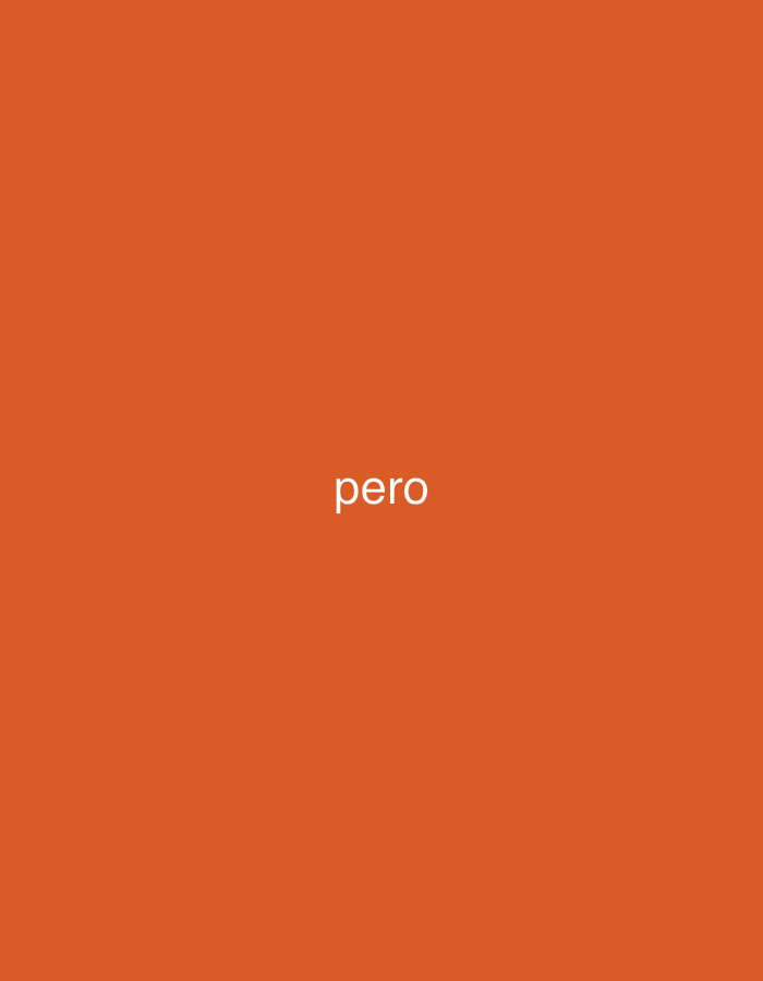 The image displays a plain, solid orange background. In the center, the word "pero" is written in white, lowercase sans-serif font. There are no other subjects, objects, or a discernable scene or setting. No activity or event is depicted. The image lacks any visual cues such as time of day, weather, or specific location identifiers. The provided location context of Santa Ana, Venezuela, is not visually represented in the image itself. The crops confirm the simple composition of text on a uniform background.