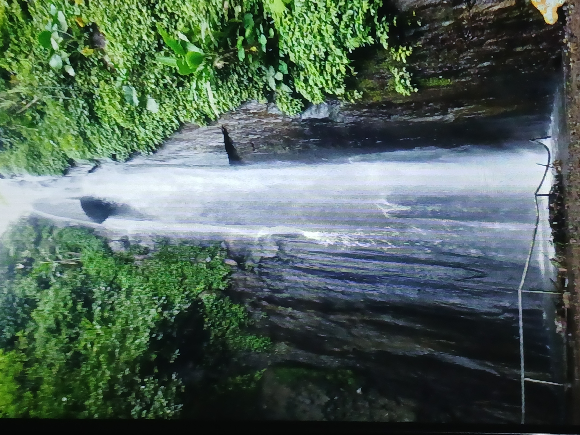 The image shows a tall waterfall cascading down a rocky cliff face covered in lush green vegetation. The water is white and appears to be flowing rapidly. In the foreground, there is a small, light-colored railing. The surrounding environment is dense with trees and foliage, indicating a natural, possibly tropical setting. The lighting suggests it is daytime. The image quality is poor, with a blurry and pixelated appearance, making it difficult to discern fine details. This scene is located at Coban Rondo Waterfall, a popular tourist destination situated in the Batu highlands, near Malang, East Java, Indonesia, not in Surabaya.