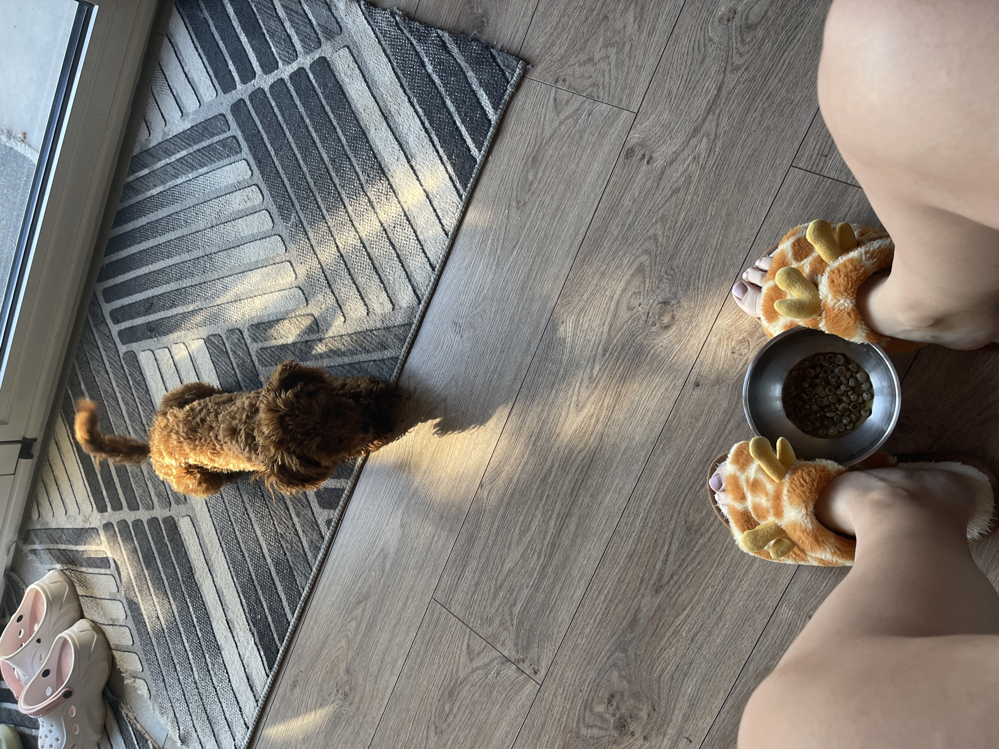 A small, brown, curly-haired dog lies on its stomach on a grey and white striped rug, looking towards the camera. Its front paws are extended, and its tail is curled upwards. The rug is situated on a light brown wooden floor. In the foreground, a person's legs and feet are visible, wearing orange and white giraffe-themed slippers. The person is sitting down, with a small metal bowl of dog food placed on the floor in front of them, near their feet. To the upper left of the rug, a pair of pink slip-on shoes are visible. The scene is illuminated by sunlight streaming in from the right, casting shadows on the floor and rug. The location is identified as Sofia, Bulgaria.