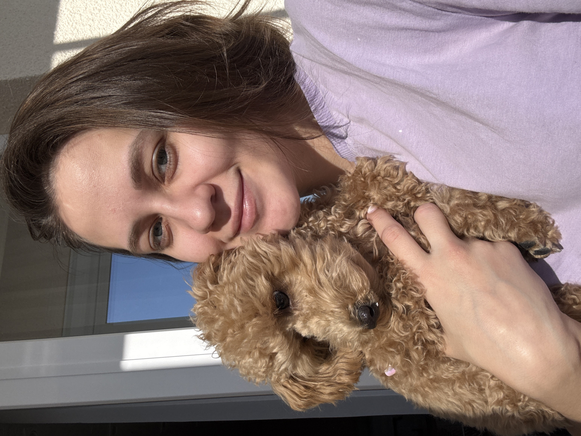 The image features a young woman embracing a small, brown, curly-haired dog indoors in Pervomaysky, Russia. The woman, who has medium-length dark brown hair and light-colored eyes, is smiling gently with her head tilted, resting against the dog. She is wearing a light purple long-sleeved shirt. Her hand is visible, lightly touching the dog's fur.
The dog, likely a poodle or poodle mix, has a fluffy, caramel-brown coat, dark eyes, and a black nose. A small, light pink or purple clip is visible near its ear. The dog's face is turned towards the viewer, nestled close to the woman's cheek.
The setting appears to be a brightly lit room, possibly near a window. Strong natural sunlight streams in from the left, casting distinct shadows on the textured wall behind the woman and illuminating parts of their faces. Through the window, a clear, bright blue sky is visible, along with a white window frame. The strong light and clear sky indicate it is daytime, likely a sunny morning or afternoon. The scene conveys a sense of warmth, affection, and happiness between the woman and her pet. There is no visible text in the image.