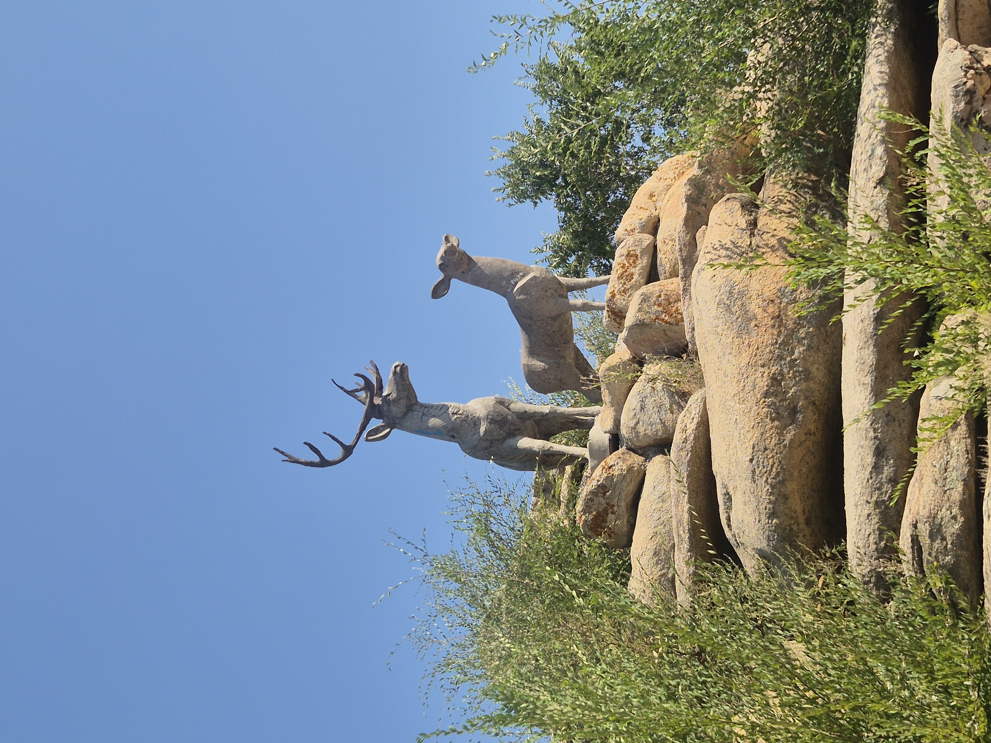 The image shows two stone sculptures of deer positioned on a rocky outcrop, likely a man-made feature, under a clear blue sky. The sculpture on the left is a stag with large antlers, facing to the left. The sculpture on the right is a doe, facing to the right. Both deer are depicted in a stylized manner. Lush green bushes and trees surround the rocky formation, with some of the foliage obscuring parts of the deer sculptures and the rocks. The rocks themselves are large and appear weathered, with a rough texture and varying shades of brown and tan. The overall scene suggests an outdoor park or landscape setting. This is a photograph of the "Deer" sculpture located in the city of Kokshetau, Kazakhstan.