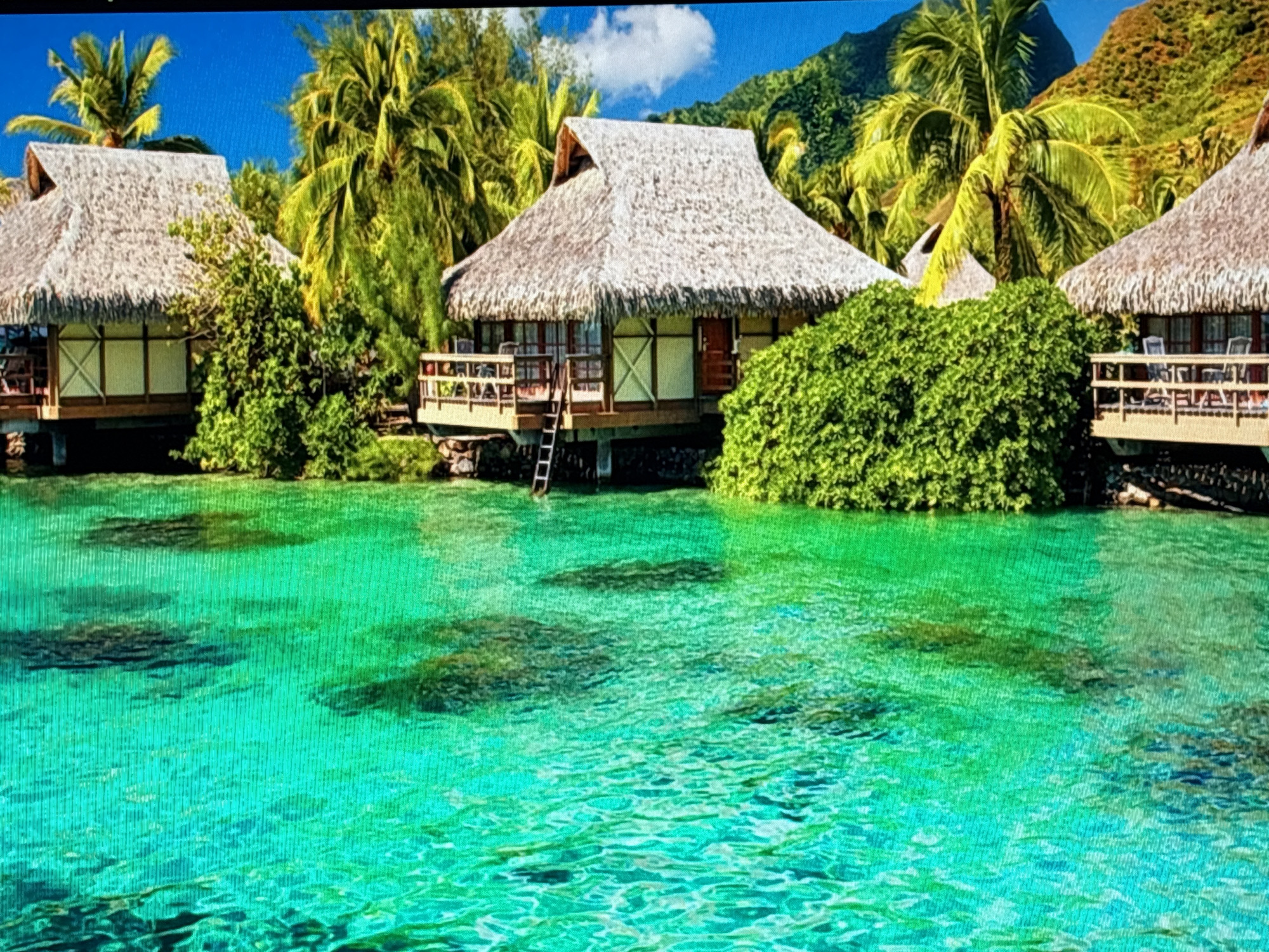 This image depicts a tranquil tropical scene with overwater bungalows and crystal-clear turquoise water. The bungalows have thatched roofs and wooden decks, and are surrounded by lush green vegetation and palm trees. In the background, a mountainous landscape is visible. The water is shallow enough to see the sandy bottom and some dark patches that could be coral or rocks. This image does not depict the city of Sofia, Bulgaria, but rather a tropical island resort.