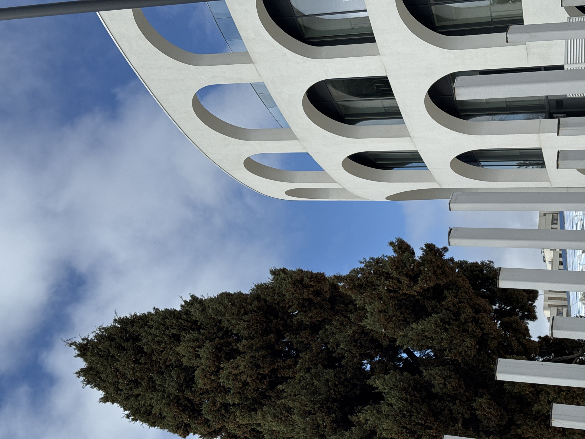 The image shows a view of a modern building in Sochi, Russia, with a distinctive facade featuring large, rounded archways. The building's architecture is characterized by clean lines and a light-colored, possibly concrete, material. Behind the building is a tree with dark green foliage and a blue sky with scattered clouds. The image is rotated, with the sky appearing on the left and the tree on the bottom.