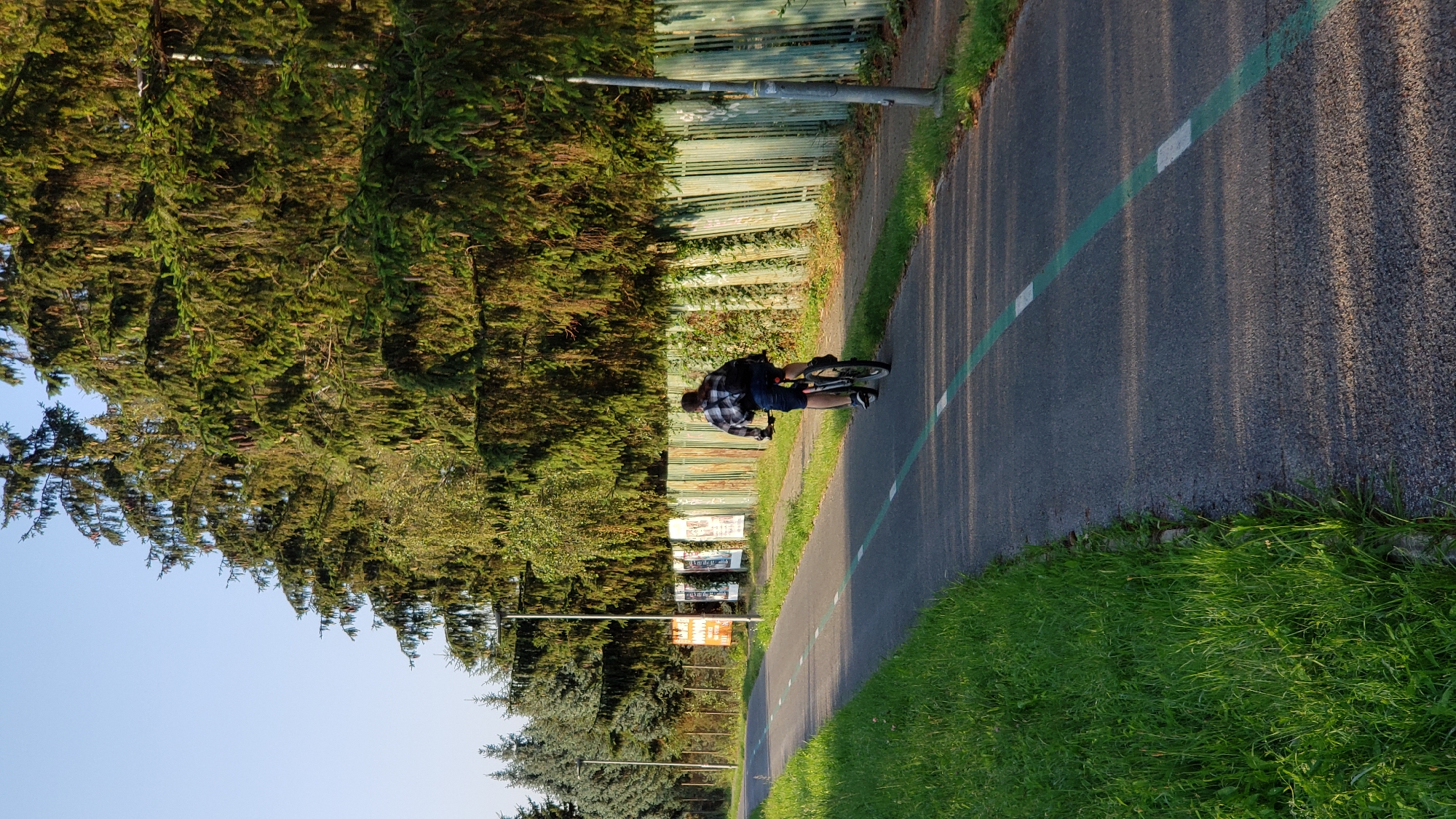 A person on a bicycle rides away from the camera on a paved bike path marked with green and white lines. The path is bordered on the left by a strip of grass and on the right by a green metal fence. Tall evergreen trees line the far side of the fence, casting shadows on the path. In the background, several posters are affixed to poles on the left side of the path. The sky above is clear and blue, suggesting a daytime scene. The location is in Prešov, Slovakia.