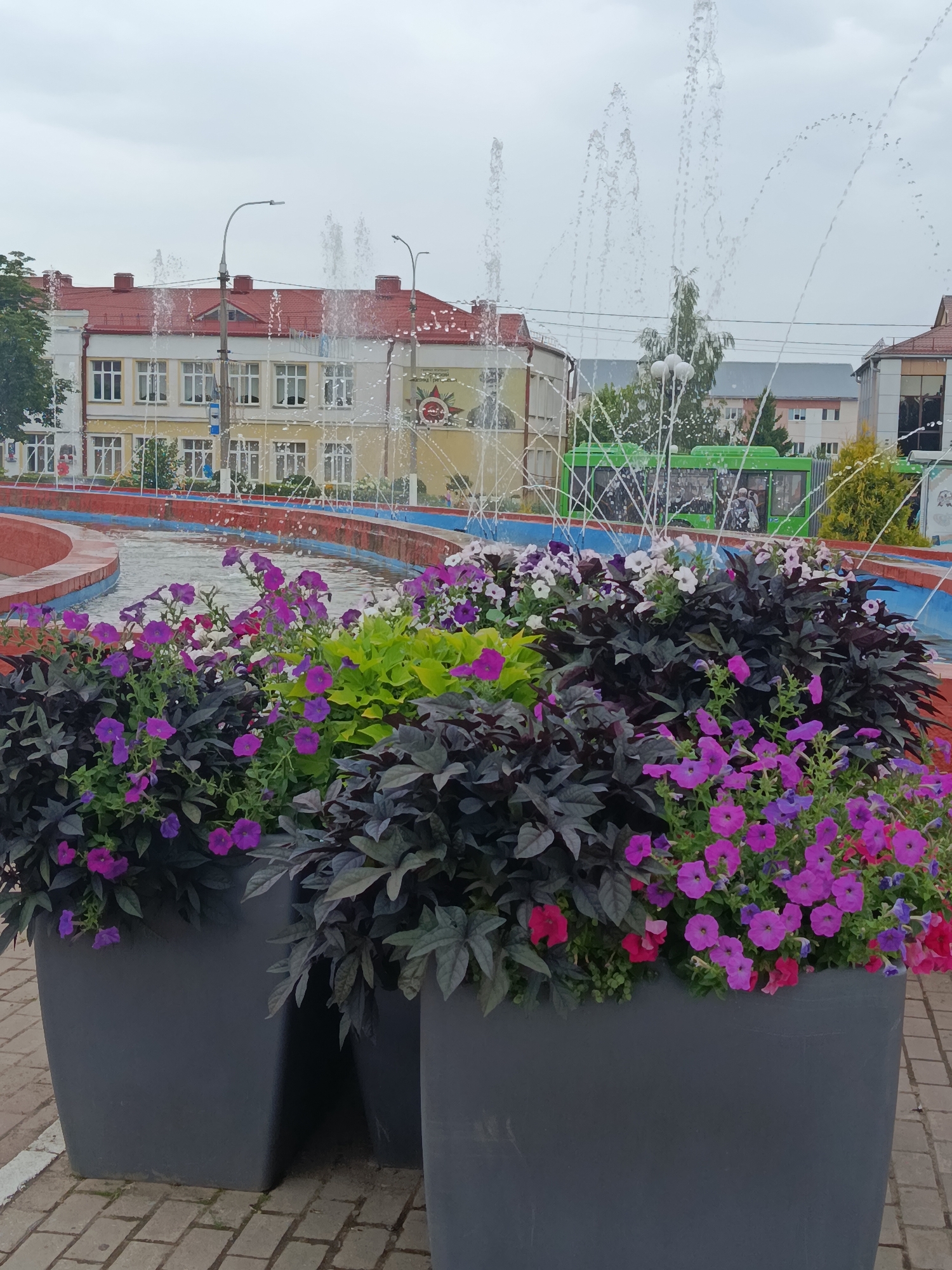 In Zhlobin, Belarus, this image captures a public space featuring a fountain and a flower display in large planters. The fountain's water jets are actively spraying upwards, creating a dynamic visual element against a cloudy sky. In the background, several buildings with red roofs are visible, suggesting an urban setting. One of these buildings appears to be a school or institution with multiple windows. A bright green bus is also present in the background, indicating public transportation in the area. The foreground is dominated by two large, dark gray planters filled with a variety of flowers, primarily purple and pink petunias, interspersed with dark foliage and some bright green leaves. The planters are situated on a paved area with a brick-like pattern. The overall scene depicts a well-maintained public area designed for aesthetic appeal and recreation.