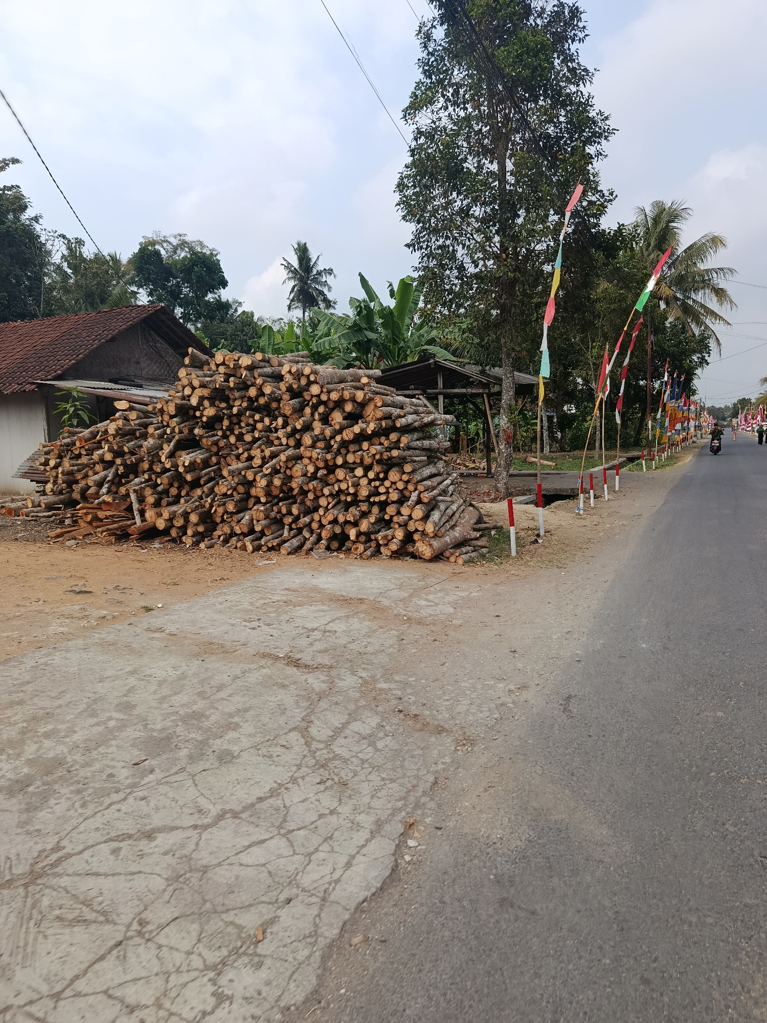 The image depicts a roadside scene in Bantarsari, Indonesia, likely a rural or semi-urban area. On the left, a large pile of cut logs is stacked next to a simple building with a red tile roof. The logs are of various sizes and appear to be prepared for use. A dirt and gravel path runs alongside the logs, leading to a paved road on the right. This road is lined with numerous small flags, predominantly red and white, possibly indicating a local celebration or national holiday. Trees, including palm trees and other tropical vegetation, are visible in the background, suggesting a warm climate. A motorcycle is seen traveling on the road, with at least one person riding it, and a second person can be seen further down the road on foot. The sky is overcast with scattered clouds. The overall impression is a utilitarian, yet festive, roadside environment.