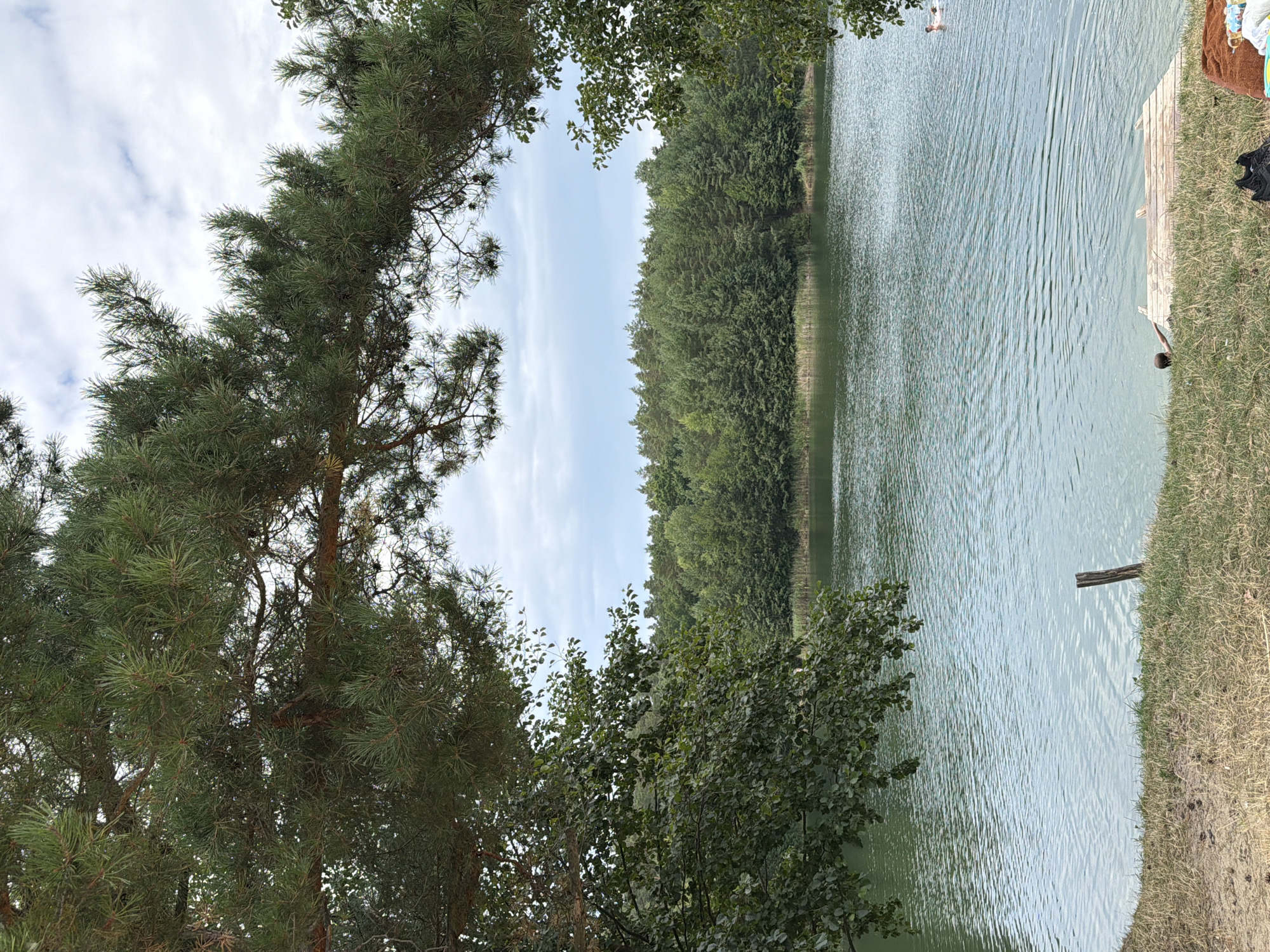 The image depicts a serene lake scene framed by the branches of large pine trees. The water is a tranquil green, reflecting the overcast sky. A dense forest of various trees lines the opposite shore, with reeds growing near the water's edge. In the foreground, a grassy bank slopes down to the water, with a small wooden jetty partially submerged. A lone wooden post stands in the water near the bank. A person can be seen swimming in the distance on the right side of the lake. On the bank, near the jetty, a person's head and shoulders are visible above the water. Scattered on the grass are a pair of black sneakers and a brown towel with other items. The overall impression is one of a peaceful natural environment, likely in the vicinity of Kmytiv, Ukraine, on a summer day.