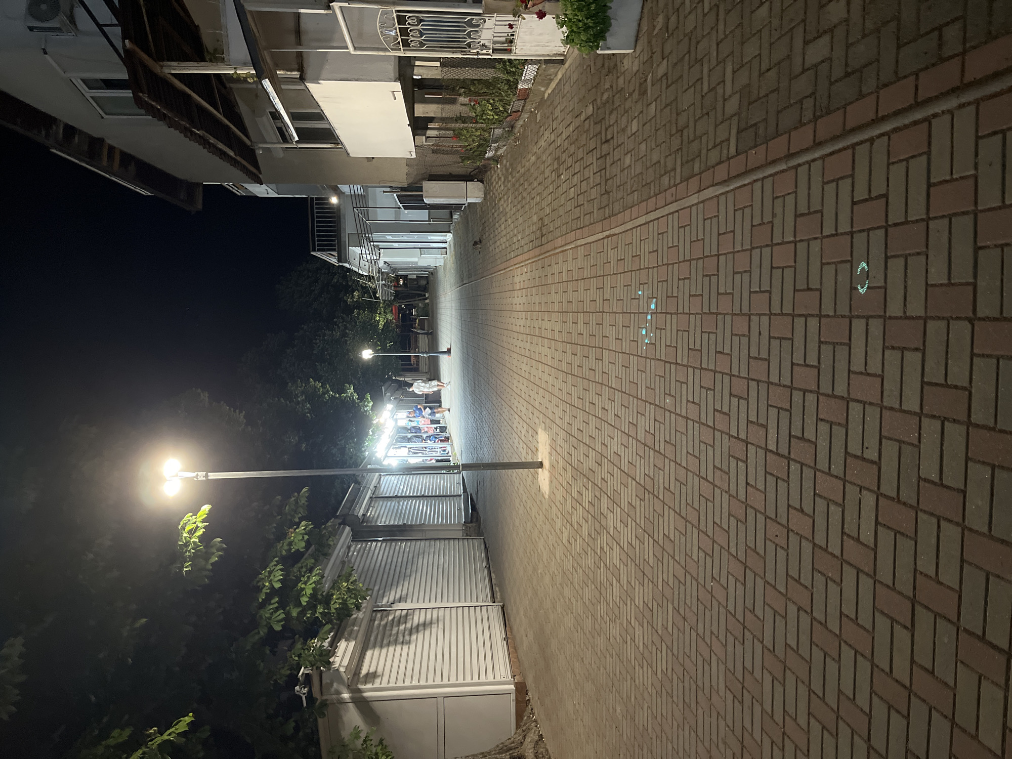 An eye-level, wide shot shows a paved walkway lined with closed shops on the left and buildings on the right. The scene is illuminated by streetlights and the lights from the shops. The walkway is constructed of red and gray brick pavers laid in a herringbone pattern.
On the left, there are several small, prefabricated buildings with metal roll-up doors. A large tree with lush green leaves is visible on the far left. A single streetlight stands in the middle of the walkway, casting a pool of light. Further down the walkway, two people are walking away from the camera.
On the right, there is a multi-story building with balconies and white siding. Plants in pots are arranged along the base of the building. A decorative metal gate is visible. A cat is walking on the walkway in the middle distance.
The overall atmosphere is calm and quiet, suggesting late evening or early morning in the city of Obzor, Bulgaria, a popular resort town on the Black Sea coast.