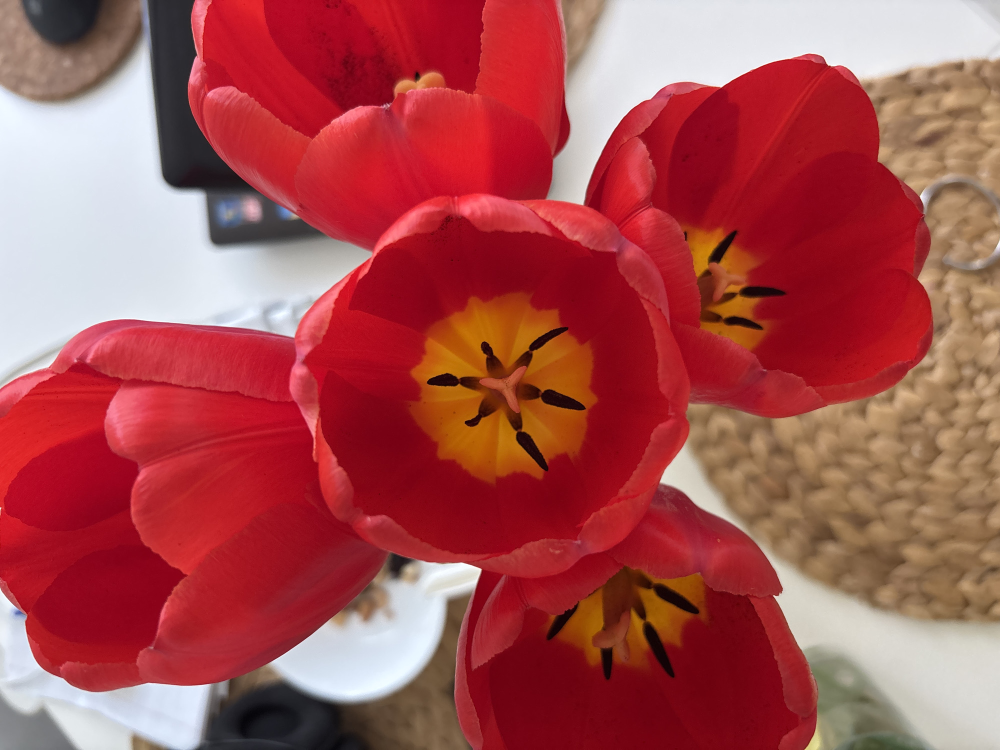 The image shows a close-up, top-down view of a bouquet of five red tulips with yellow and black centers. The tulips are arranged tightly together. The background includes elements of a domestic setting: a white table, a tan woven placemat, and glimpses of a computer screen and other household objects. There is no information in the image to suggest a location in Chaikovsky, Russia. The scene is still life.