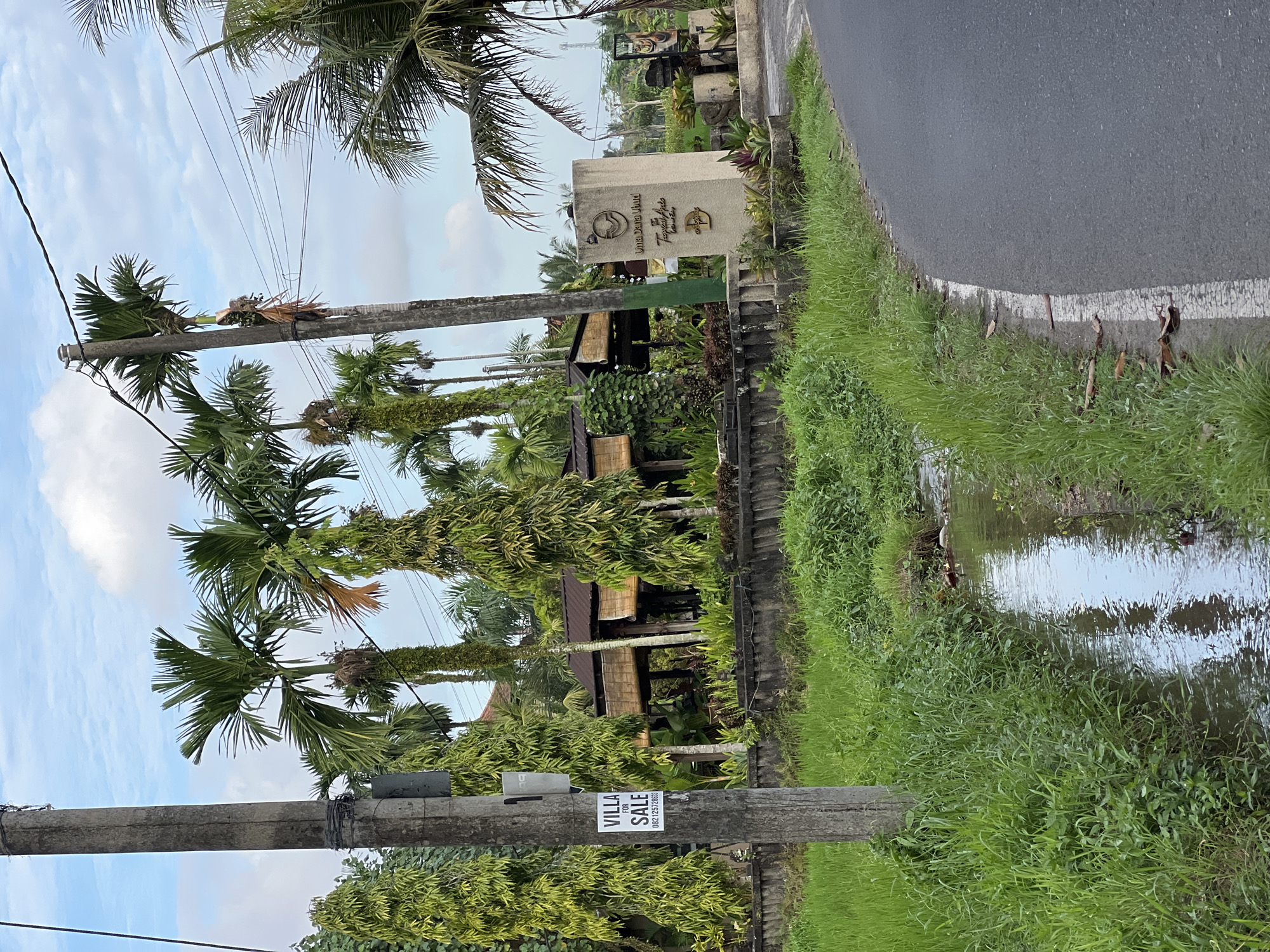 The image depicts a roadside scene in the Ubud District of Indonesia. An asphalt road runs along the right side of the frame, bordered by lush green vegetation and a water-filled ditch. Several tall, slender palm trees line the roadside, interspersed with utility poles. A "Villa for Sale" sign is affixed to one of the utility poles. Behind the palms, a building with a traditional Balinese-style roof is partially visible. Further back, a stone signpost with lettering in a foreign language stands near the entrance of a property. The sky is overcast with scattered clouds.