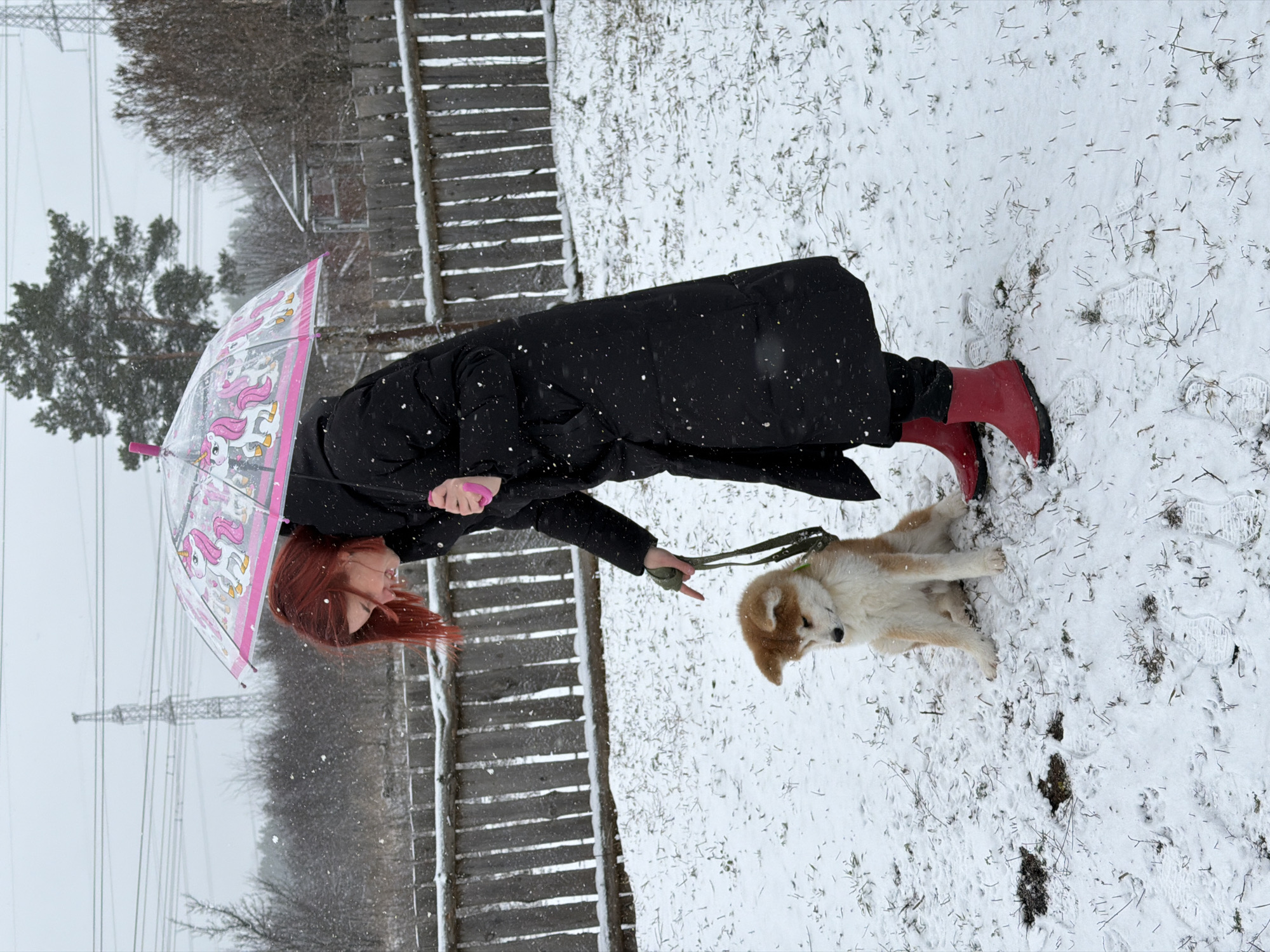 A person with red hair is walking a dog on a leash in the snow near a wooden fence. The person is wearing a long black coat and red boots and is holding a clear unicorn-themed umbrella. Snowflakes are visible in the air. The dog is light brown and white and appears to be an Akita. The location is Chaikovsky, Russia, as suggested by previous user turns. Power lines are visible in the background.