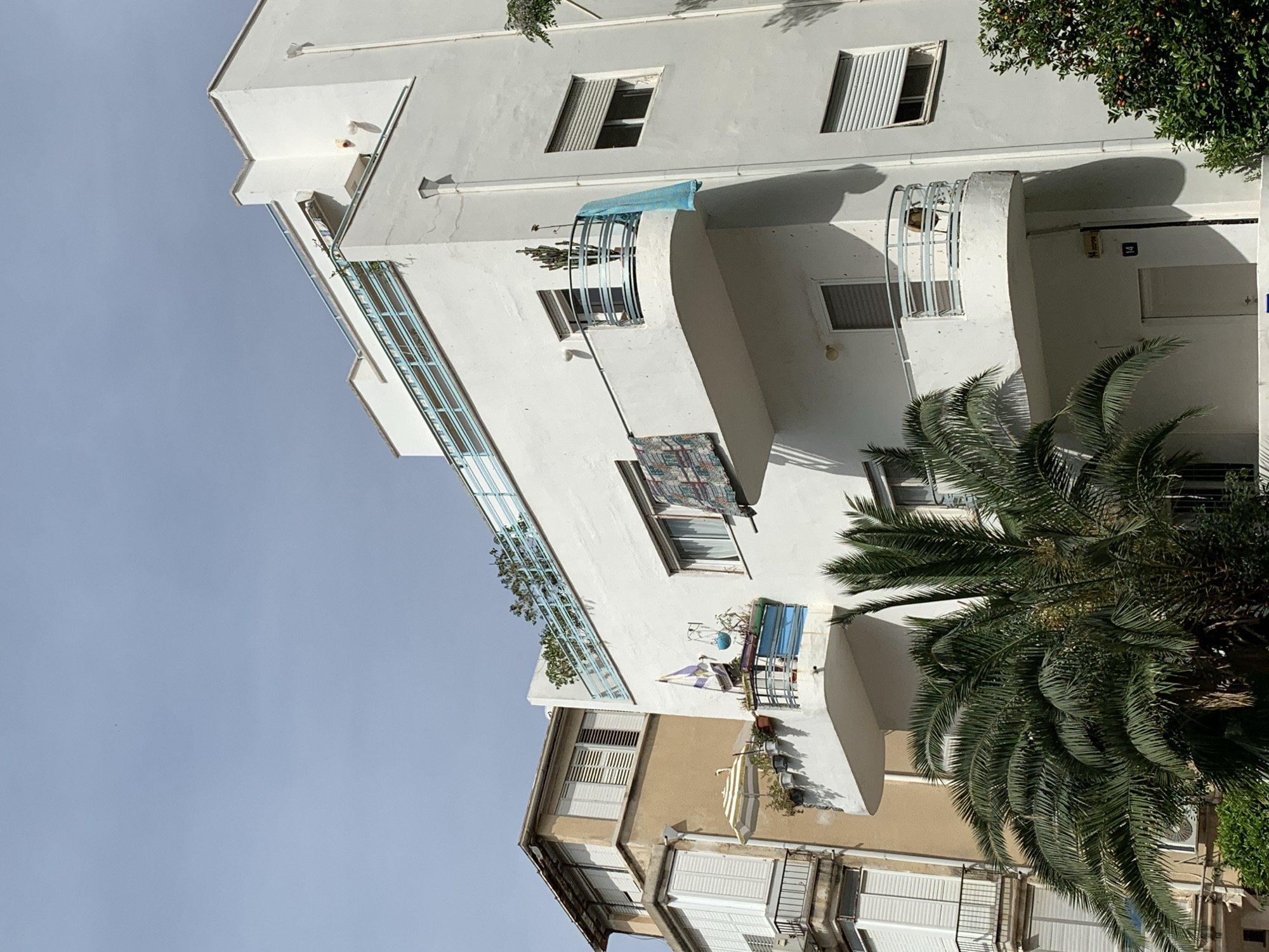 The image depicts a building in Tel Aviv, Israel, characterized by its white, Bauhaus-style architecture. The structure features curved balconies with metal railings, rectangular windows with blinds, and a smooth, white facade. A large palm tree is positioned adjacent to the building, its fronds partially obscuring the view of the structure. The building is taller than an adjacent tan building. The sky is pale blue, suggesting a clear day. The building exhibits a blend of functional and aesthetic design elements typical of the Bauhaus movement.