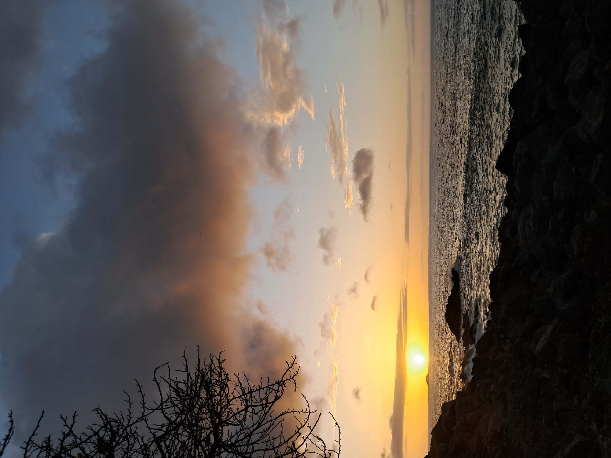 The image depicts a sunset over the ocean on the coast of Pedro González, Venezuela. The sun, a bright orb, is low on the horizon, casting a warm yellow and orange glow across the sky and sea. Dark, silhouetted rocks line the foreground, forming a rugged coastline. Waves crash gently against these rocks, creating white foam. In the distance, a small, dark island is visible. The sky above is a canvas of contrasting colors, with dark, heavy clouds in the upper left transitioning to lighter, wispy clouds tinged with pink and orange as they move towards the horizon. The silhouette of a bare tree branch extends into the upper left corner of the frame. The scene is one of natural beauty, with the dramatic play of light and shadow on the water and sky.