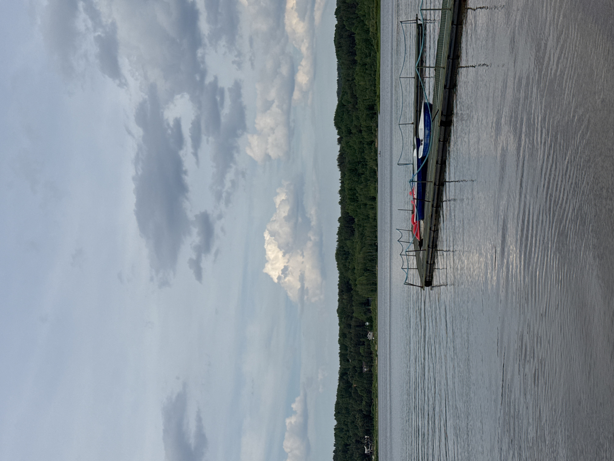 The image depicts an overcast day over a wide body of water, described as a lake or reservoir, consistent with the area around Svetloe, Russia. The sky occupies approximately the upper third of the frame, filled with a mixture of grey and white cumulus and stratocumulus clouds, casting diffuse light over the scene. The horizon features a dense, dark green forest that stretches across the entire width of the image, with a few small residential buildings faintly visible nestled within the trees on the far left. The water surface is calm, exhibiting gentle ripples, and reflects the muted tones of the sky. In the foreground and mid-ground, a dark-colored floating dock, constructed from modular sections, extends from the right edge of the frame towards the left. It is equipped with a light blue rope serving as a railing, supported by slender posts. Five small recreational boats are moored along the dock: one red, two blue, and two white, suggesting they are rental or leisure craft. The scene is devoid of people or active interactions, conveying a quiet, natural landscape with subtle human presence.