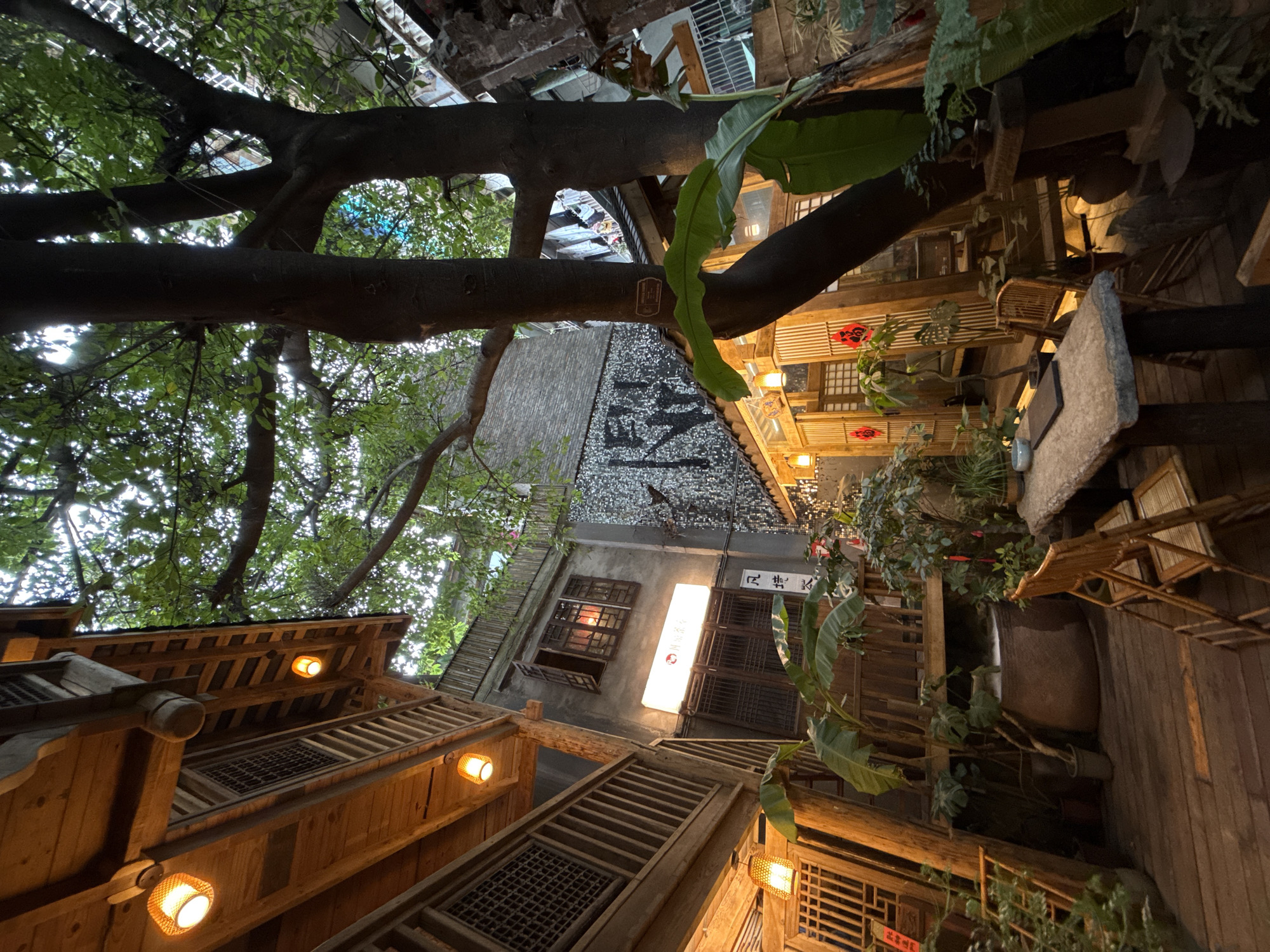 This image depicts an outdoor, semi-enclosed traditional Chinese-style courtyard or alleyway, likely a teahouse or restaurant seating area, situated in the Yuzhong District of China. The scene is illuminated by artificial warm lighting, suggesting dusk or nighttime.
The environment features a wooden deck serving as the ground level. To the left, a multi-story traditional wooden building with balconies, lattice windows, and exposed beams is visible, adorned with multiple amber-glowing lanterns. Directly opposite, a grey-toned building displays an illuminated sign with Chinese characters, appearing to indicate a teahouse or inn. Below this sign are closed wooden lattice doors, while an open window above reveals a reddish interior glow. To the right of this building, a wall features a large, dark, abstract mural against a lighter, possibly tiled background.
A large, multi-trunked tree with dark bark and dense green foliage dominates the center-right portion of the frame, extending upwards towards the visible sky. Numerous potted plants, including large banana-like leaves and smaller leafy specimens, are arranged throughout the courtyard.
In the foreground, a rustic table constructed from a stone slab with rough wooden legs is present, topped with a dark rectangular object and a small white bowl. Several light-colored wooden folding chairs, featuring bamboo-style slats, are positioned around the table. Additional wooden structures with slatted walls and red decorative elements are visible on the right. No individuals, explicit actions, or interactions are discernible within the frame.