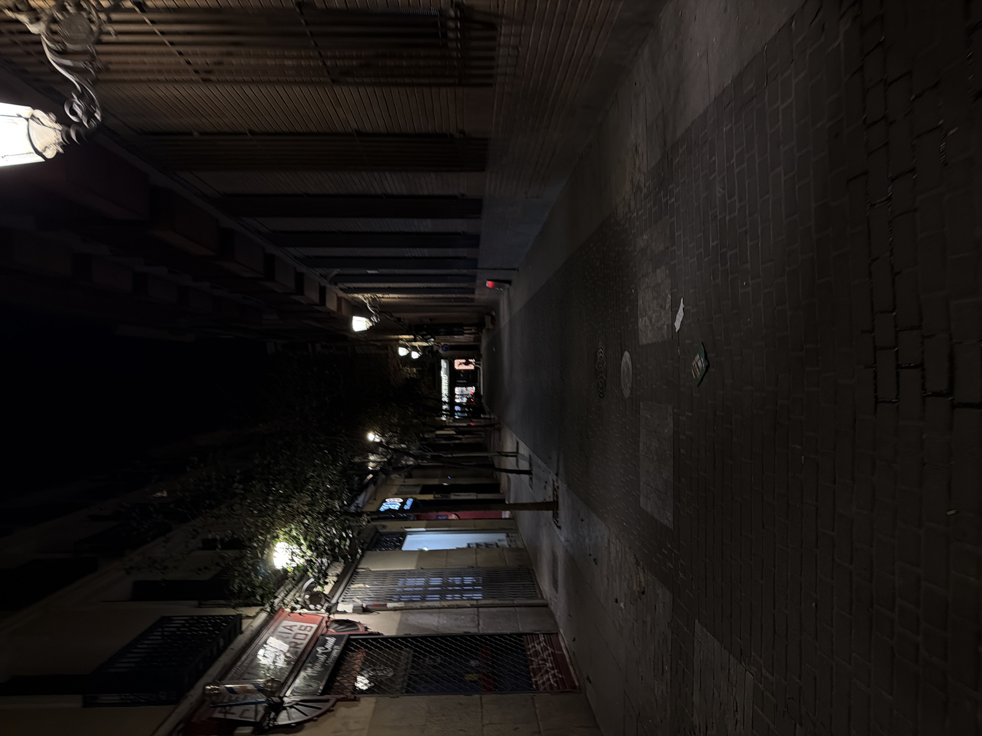 The image captures a narrow, unpopulated street at night in Madrid, Spain, viewed from a slightly elevated perspective looking down its length. The street is paved with dark brick or cobblestones, with a sidewalk running along both sides.
On the left, a row of multi-story buildings contains ground-floor commercial establishments. Most storefronts are secured by closed metal grates. One visible shop features a barbershop pole and a sign partially reading "IA ROS" above "MARQUEZ CUAD". Further down, another shop displays blue neon illumination. Several slender trees with sparse foliage are planted along the sidewalk on this side. Multiple streetlights with white, glowing lamps illuminate sections of the sidewalk and street.
On the right, a tall building with a uniform reddish-brown brick facade features several recessed windows protected by vertical metal grates. An ornate, dark-colored streetlamp with a white globe projects from this building near the top right of the frame. Further down the right sidewalk, a red, cylindrical object, possibly a bollard, is present.
The street itself is vacant, with no individuals or vehicles in the immediate foreground or midground. Scattered debris, including a piece of white paper and a green wrapper, lies on the cobblestone pavement. A faint, indistinct human silhouette is visible at the distant end of the street, near a bright light source. The scene is primarily lit by artificial streetlights, casting defined shadows.