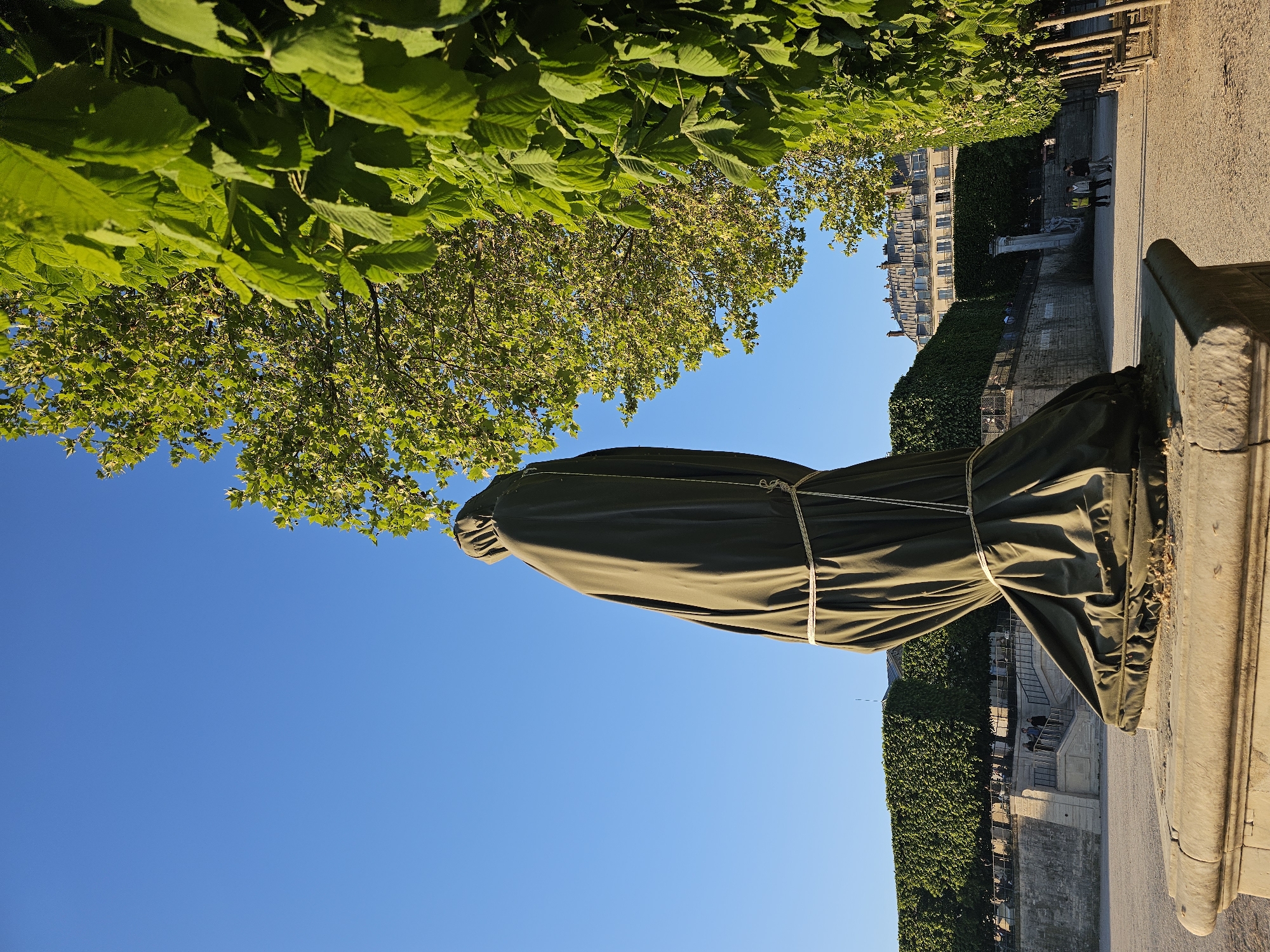 The image, appearing rotated 90 degrees clockwise from its natural orientation, captures a serene outdoor scene in a Parisian park or garden under a clear, vibrant blue sky. Lush green foliage from trees heavily overhangs the top and left side of the frame, indicating abundant greenery.
In the foreground, a prominent dark green object, likely a large garden umbrella or a covered statue, stands tall, secured with white ropes and resting on a stone base on the right. A light-colored path or gravel area stretches from the bottom towards the mid-ground, alongside a stone balustrade.
The mid-ground features a dense, manicured green hedge running horizontally, behind which a classical stone structure with steps is visible. Several small, indistinct figures of people can be seen walking or standing in this area, suggesting casual strolling. In the background, a multi-story building with numerous windows, characteristic of Parisian architecture, rises above the hedge on the left.
The scene is bathed in bright sunlight, indicating a clear, pleasant day, likely late morning or early afternoon, with no visible clouds. The overall atmosphere is tranquil. No visible text is present in the image.
