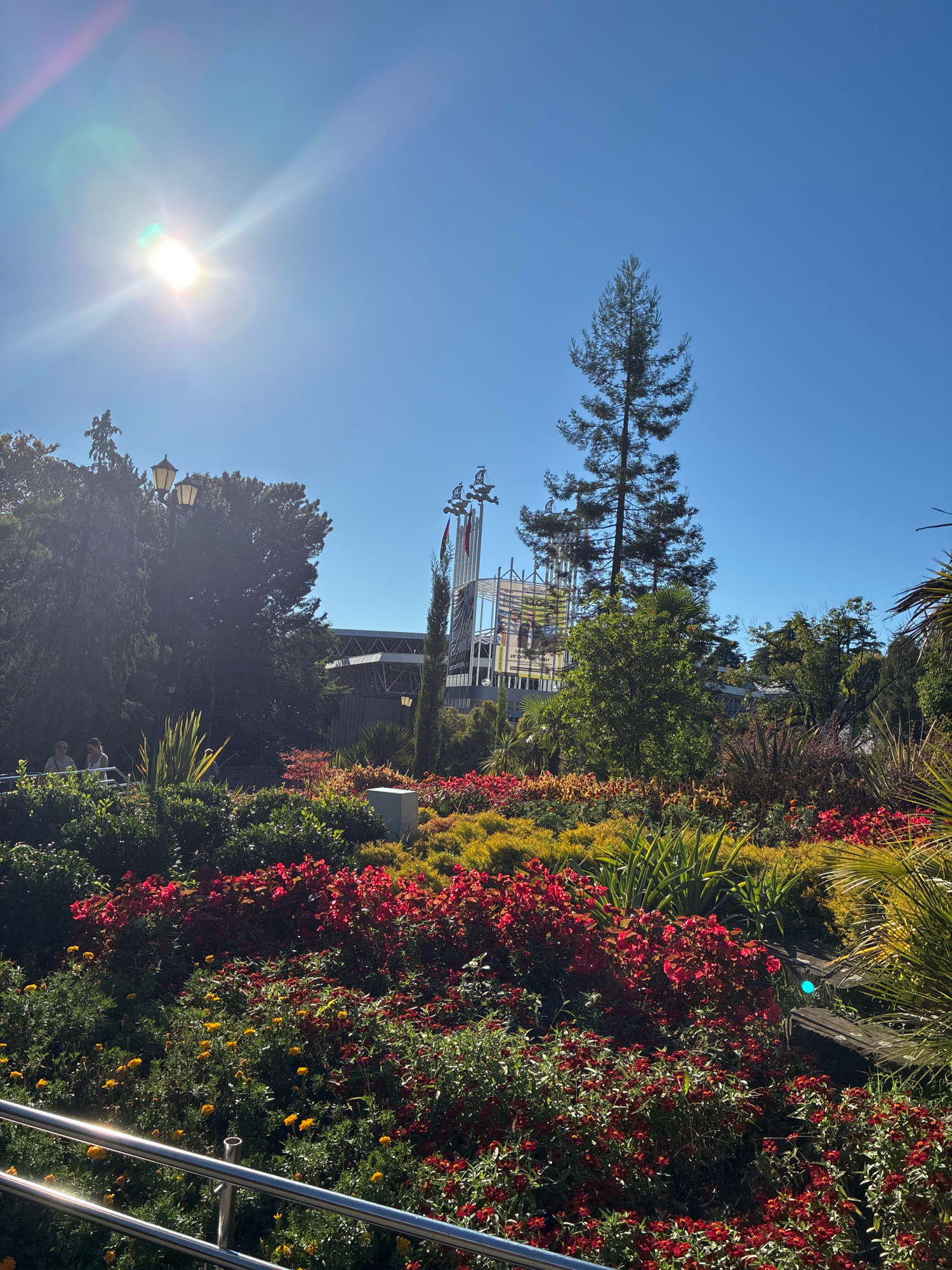 The image depicts a sunlit scene with a clear blue sky above. In the foreground, a vibrant garden bed features a variety of colorful flowers, primarily in shades of red, yellow, and green. A metal railing runs along the bottom left of the frame, indicating a pathway or viewing area. Behind the garden, lush green trees create a dense backdrop. In the middle ground, a tall evergreen tree stands prominently, reaching towards the sky. Partially visible behind the trees is a modern structure with white scaffolding, suggesting ongoing construction or renovation. Streetlights are also visible amongst the trees. The scene is bathed in bright sunlight, with lens flare emanating from the sun in the upper left quadrant. In the far distance, a modern building complex is visible, and the overall setting appears to be an outdoor public space, possibly a park or a recreational area within the city of Sochi, Russia. There are a few people visible in the background, casually dressed and walking or standing in the garden area. The environment is verdant and well-maintained, with a sense of daytime activity.