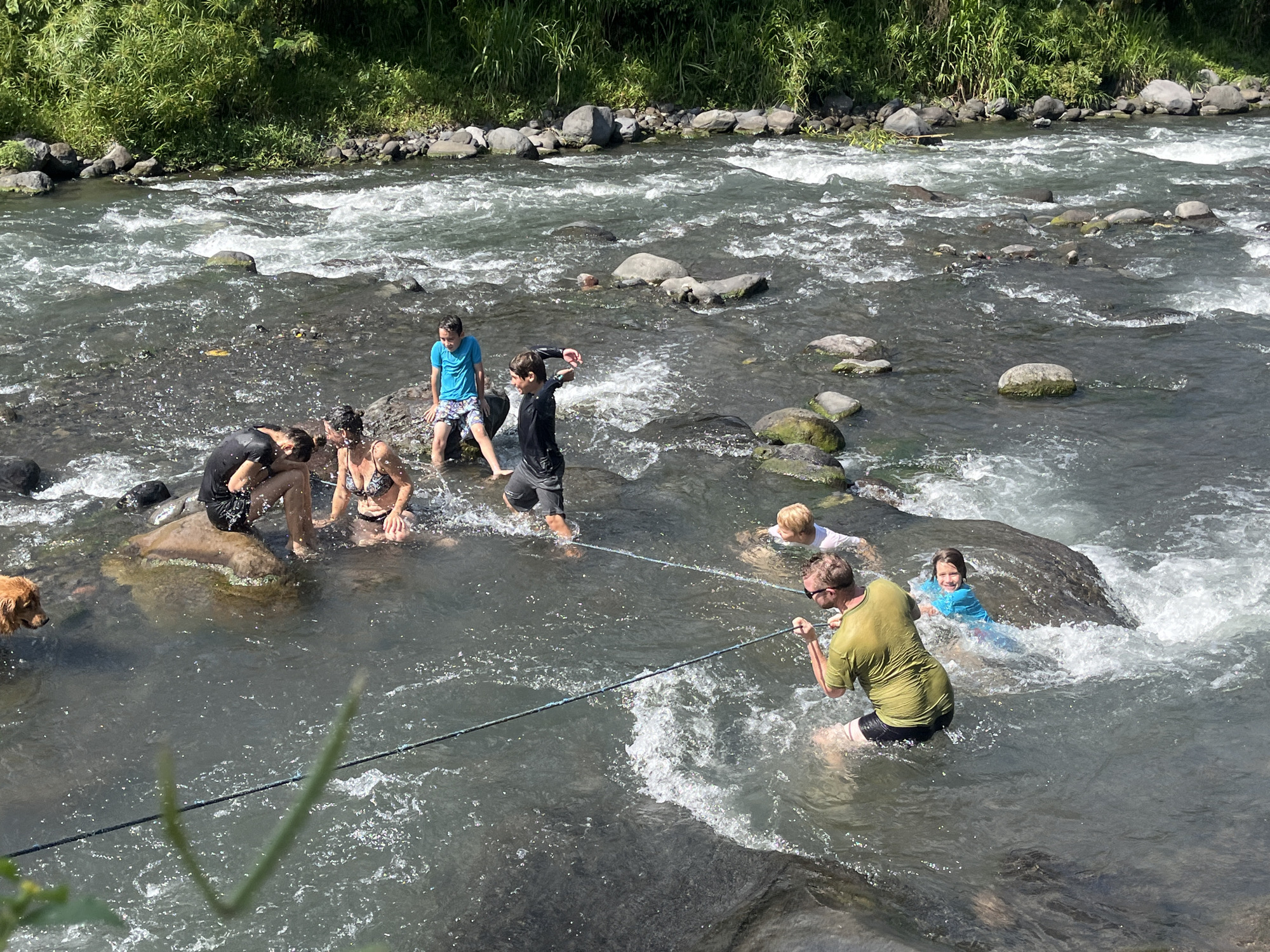 In Klungkung, Indonesia, a group of people are enjoying a day in a shallow, fast-flowing river surrounded by lush green foliage and large rocks. The water is clear and reflects the sunlight, creating ripples and splashes. Several children and adults are wading in the river, some sitting on rocks, others standing. One man is holding onto a rope that extends across the water, seemingly to help people navigate the current. A dog is also visible on the left side of the image, watching the activity. The overall atmosphere appears to be one of recreation and family fun in a natural outdoor setting.