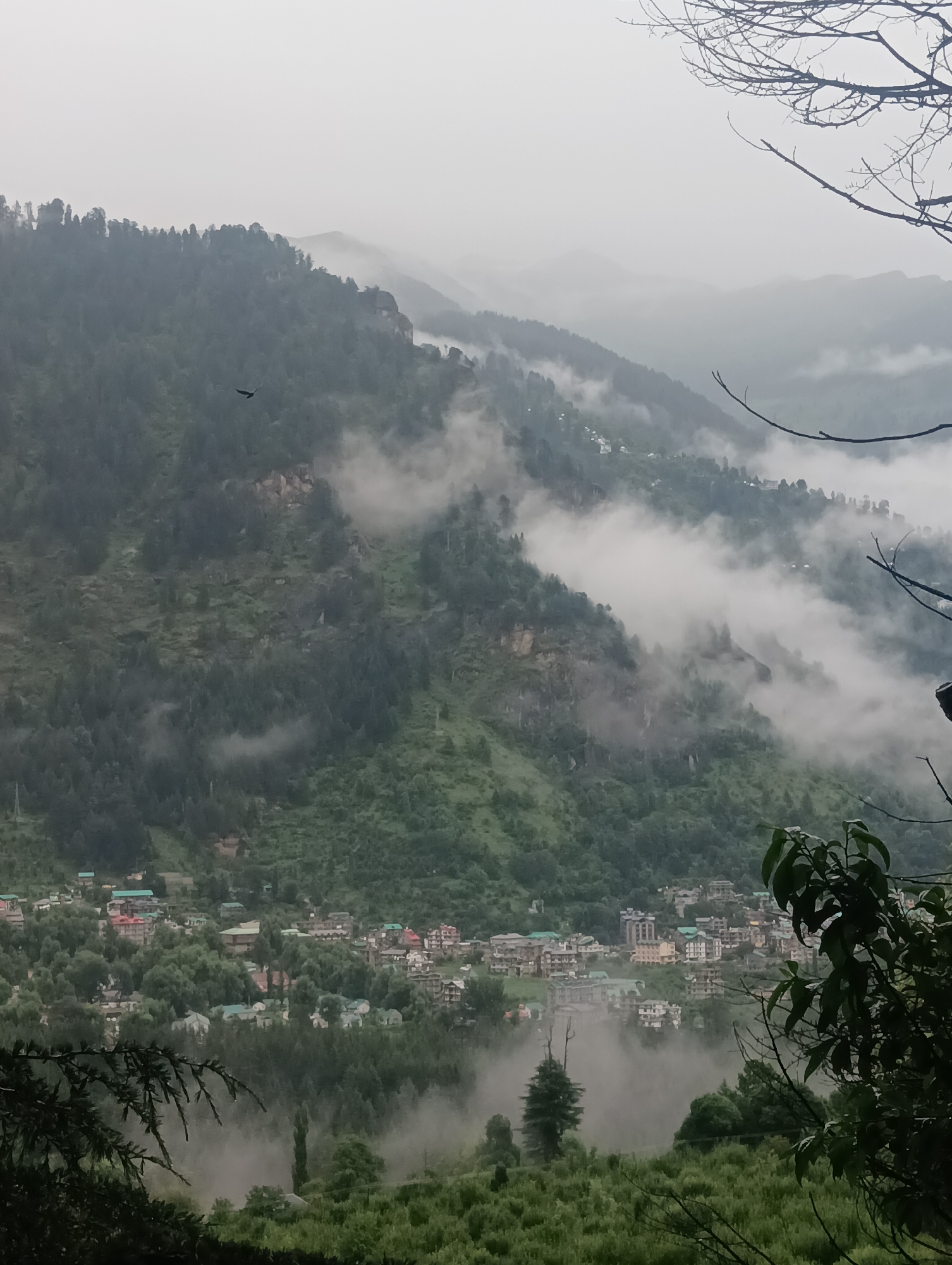The image depicts a misty mountain landscape with a small town nestled in the valley. The town, identified as Chhyal in India, is visible with buildings of various sizes and colors, many with green roofs, spread across the lower slopes. Dense green trees cover the surrounding hills, with patches of fog and clouds interspersed among the mountains, creating a hazy and atmospheric effect. In the foreground, branches of trees, some bare and others with leaves, partially obscure the view. A bird is visible flying in the upper left quadrant of the image. The overall scene conveys a sense of remoteness and natural beauty.