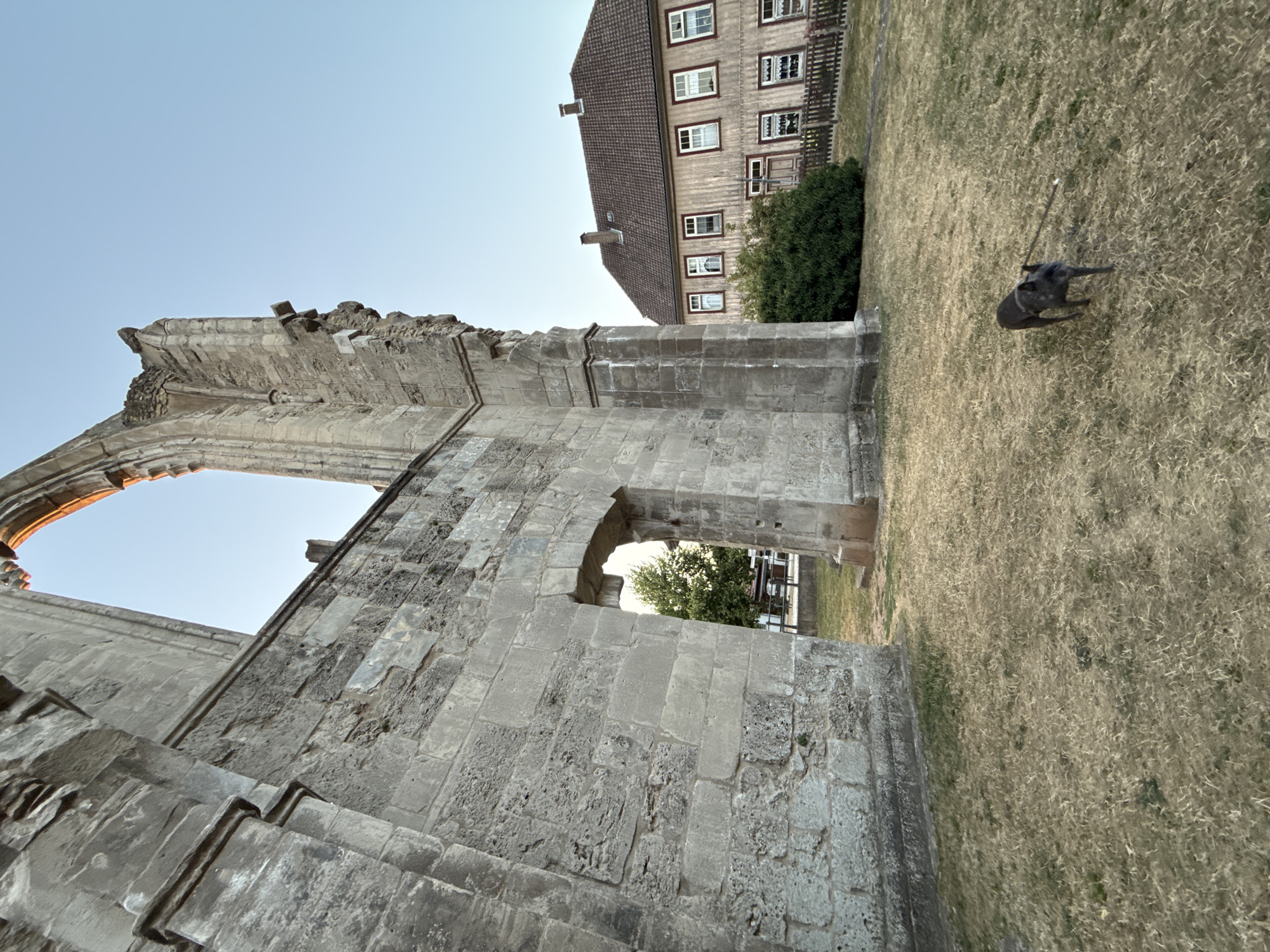 The image shows a view of the ruins of the former Walkenried Abbey in Walkenried, Germany. In the foreground, a small, dark-colored dog is walking on dry, mowed grass. To the left, a section of the stone ruins of the abbey is visible, featuring large, rough-hewn stone blocks and a large arched opening. To the right of the ruins, a two-story, wooden building with a brown tiled roof and numerous windows is situated behind a wooden fence and a green bush. The sky above is clear and blue. The overall scene suggests a historic site with modern structures nearby.
