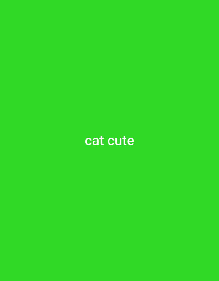 A green background with the white text "cat cute" centered in the middle. There are no indications of a specific location in Lhokseumawe, Indonesia, or any other identifiable elements in the image.