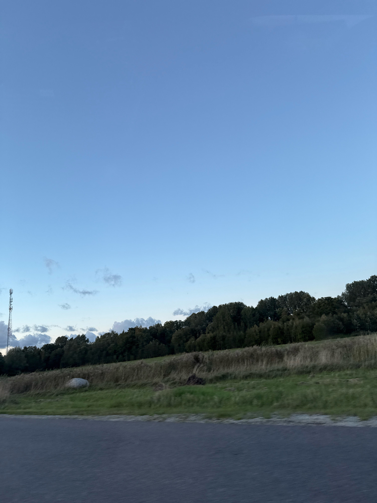 The image shows a landscape scene. In the foreground, there is a dark grey asphalt road. Behind the road, there is a grassy slope with dry grass and some green grass. A large, light-colored boulder is visible on the grassy slope. Further back, a dense line of trees forms a backdrop. To the left of the trees, a tall, slender transmission tower is present. The sky is a clear, light blue with a few wispy clouds. The overall impression is of a rural or semi-rural setting, possibly on the outskirts of a city or town. Based on the provided context of the city of Alliku, Estonia, this scene could be located within or near that area, depicting a natural landscape alongside man-made infrastructure.