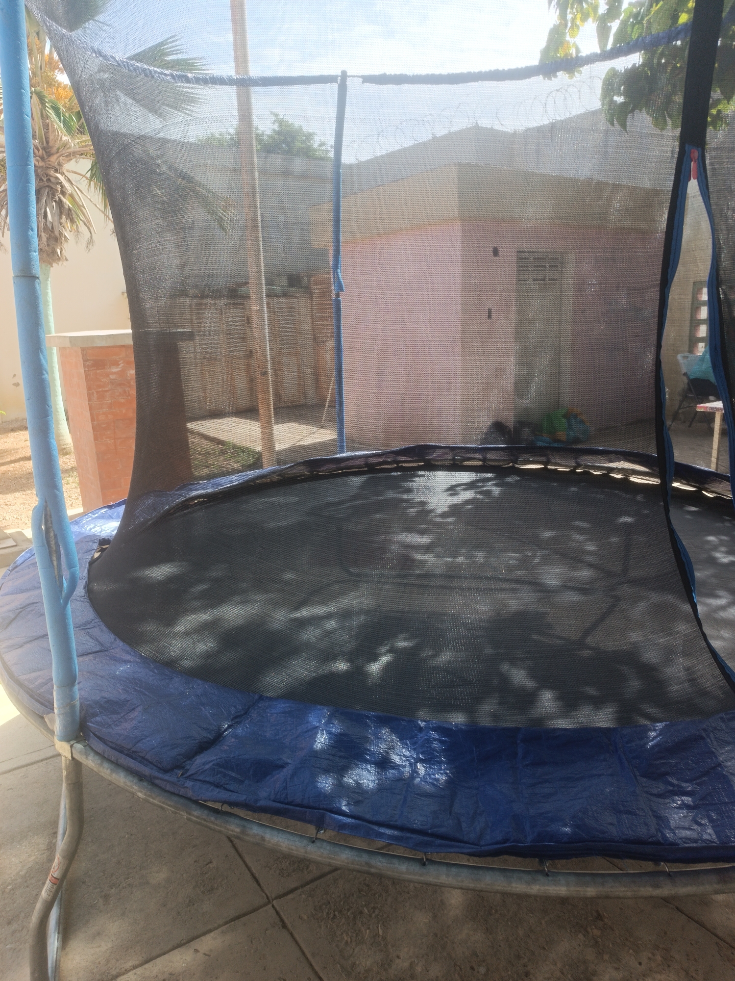 The image shows a trampoline set up outdoors. The trampoline has a blue safety pad around the edge of the jump mat and a black netting enclosure. The location appears to be residential, with a pink building visible in the background, along with a wooden fence and some greenery. The scene is in Porlamar, Venezuela.