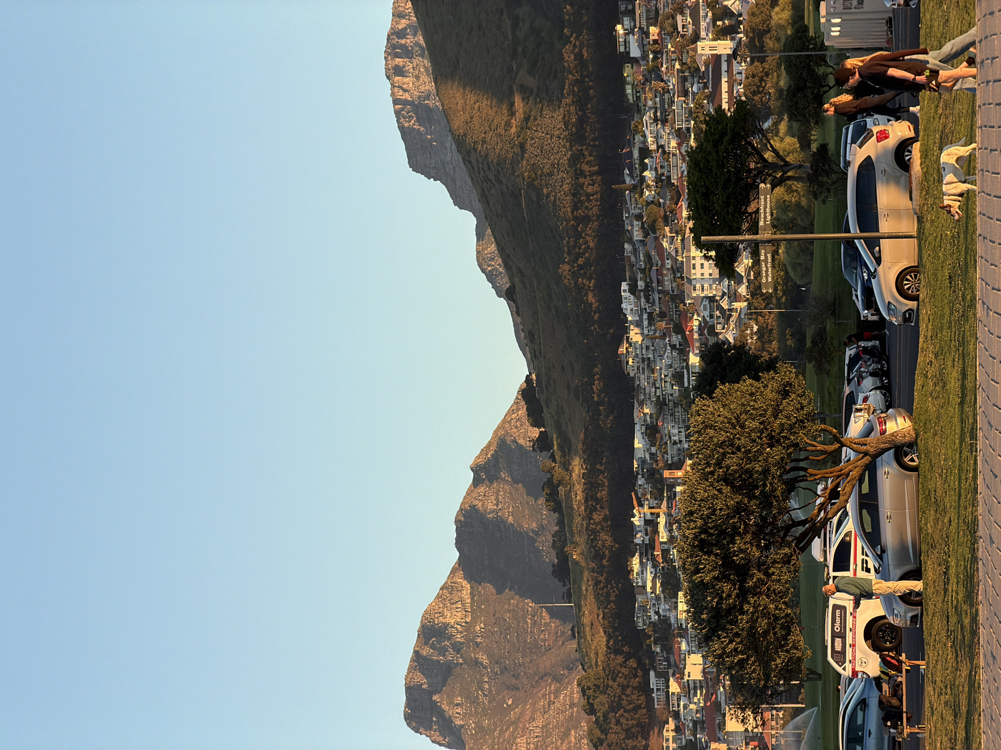 The image depicts a sunset scene in Cape Town, South Africa, likely in the Camps Bay or Clifton area, with Lion's Head and the Twelve Apostles mountain range dominating the background. In the foreground, several cars are parked on a grassy area adjacent to a paved walkway. A man, wearing a green long-sleeved shirt and beige pants, stands near a silver hatchback, appearing to be in conversation or observing something. Further to the right, a couple walks their dog, a medium-sized white and brown canine, along the walkway. Behind the parked cars, a dense residential area with white-roofed buildings cascades down the hillside towards the sea, which is not visible in this frame. Trees, including a large, mature one casting a shadow over the parked cars, are scattered throughout the landscape. A white response vehicle with "Alarm" signage is also visible. The sky is a clear, pale blue, transitioning to a warmer hue near the horizon, indicating late afternoon or early evening.