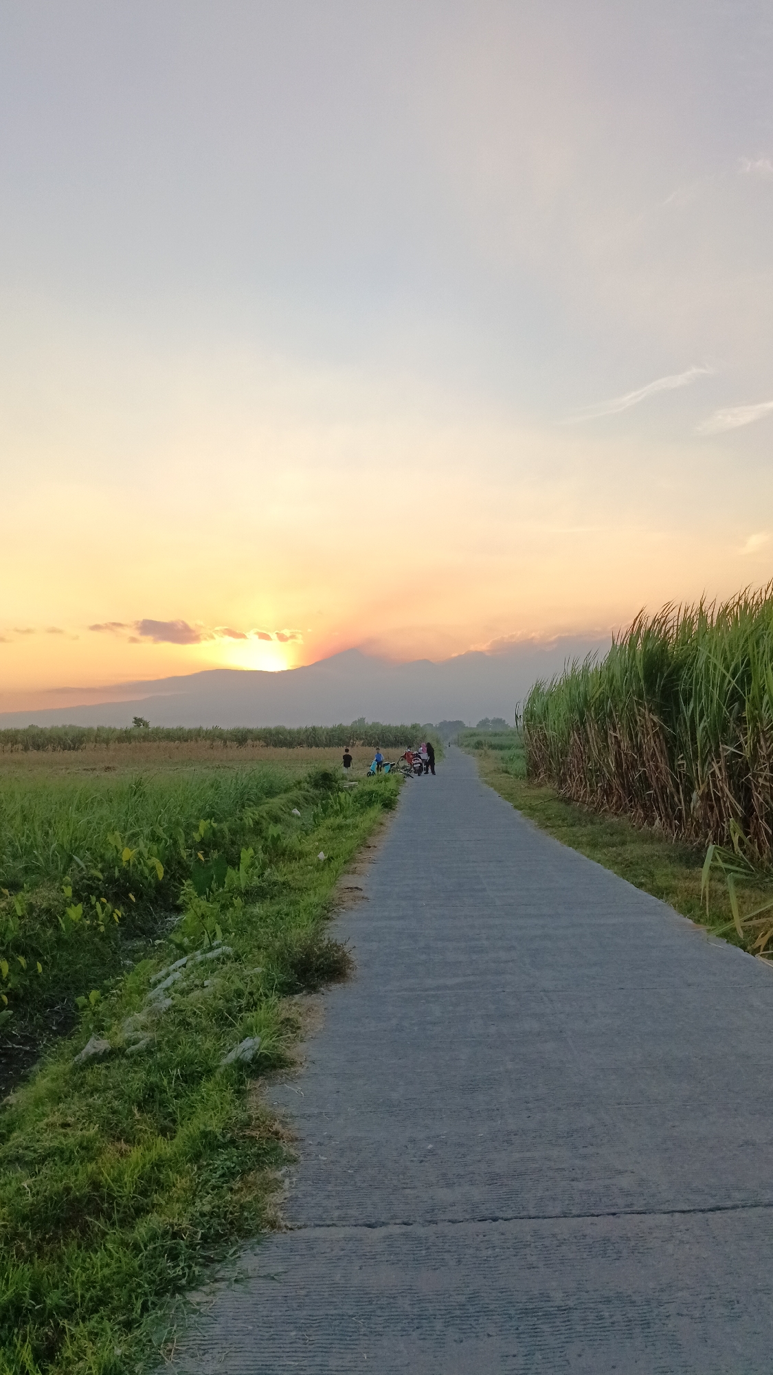 This is a vertical, eye-level, medium shot of a rural road at sunset in Cendono, Indonesia. The road is paved with concrete and stretches into the distance, flanked by lush green fields and tall sugarcane on the right. In the background, a range of mountains forms a silhouette against the vibrant orange and yellow hues of the setting sun, which is partially obscured by clouds. A group of people and some motorbikes are gathered by the side of the road, appearing to be enjoying the scenic view. The overall atmosphere is serene and peaceful, with the warm glow of the sunset casting a tranquil mood over the landscape.