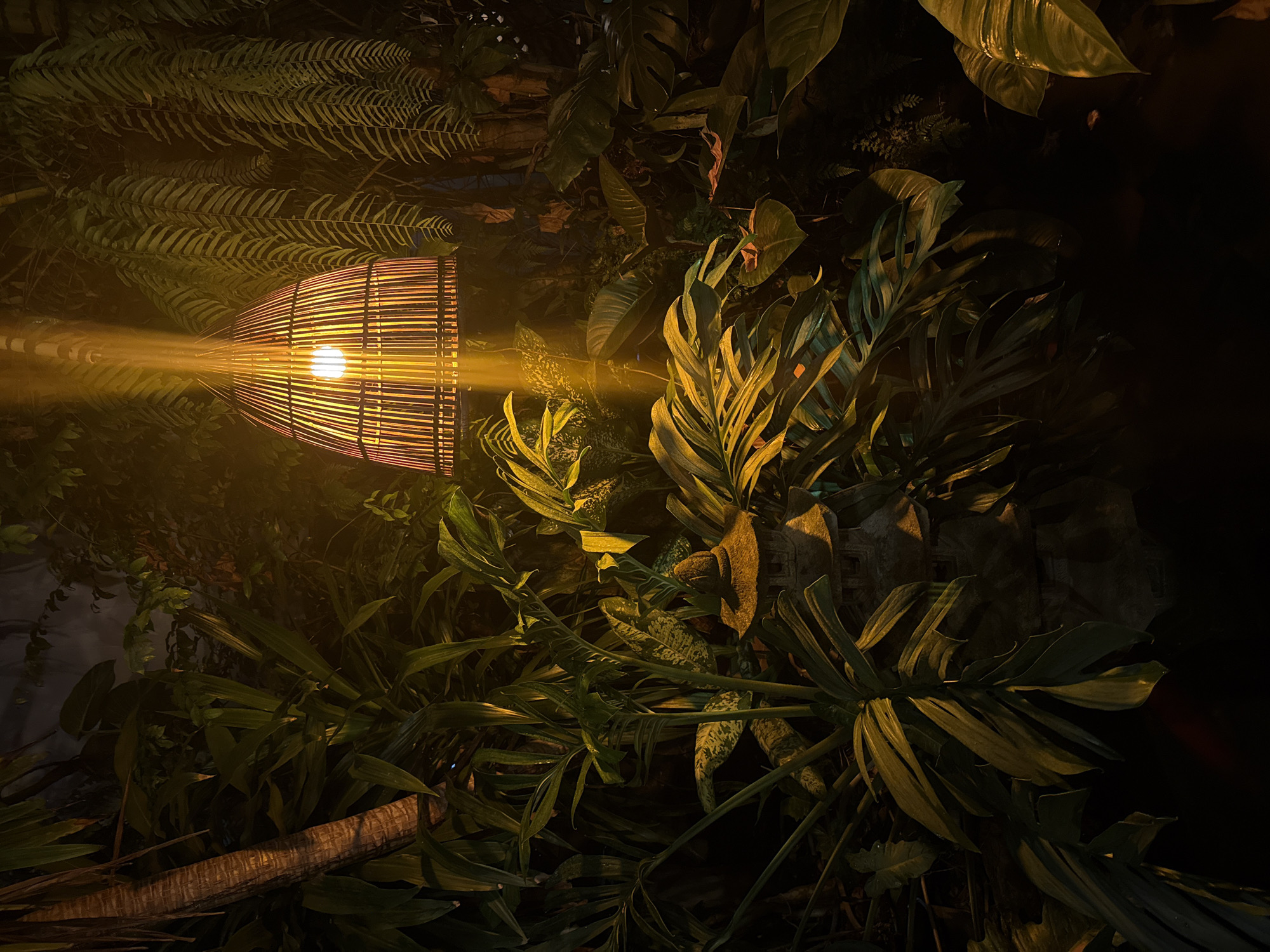 The image depicts a dimly lit outdoor scene in Baan Lamai, Thailand, at night. A woven, cylindrical lamp emitting a warm, yellow light is positioned prominently. The lamp's light casts a beam outwards, illuminating the surrounding dense foliage, including ferns and large-leafed plants. The scene is captured at an angle, appearing as if the photograph was taken from a low vantage point looking upwards. The overall environment suggests a tropical garden or a densely vegetated area within the city. No people are visible in the image.