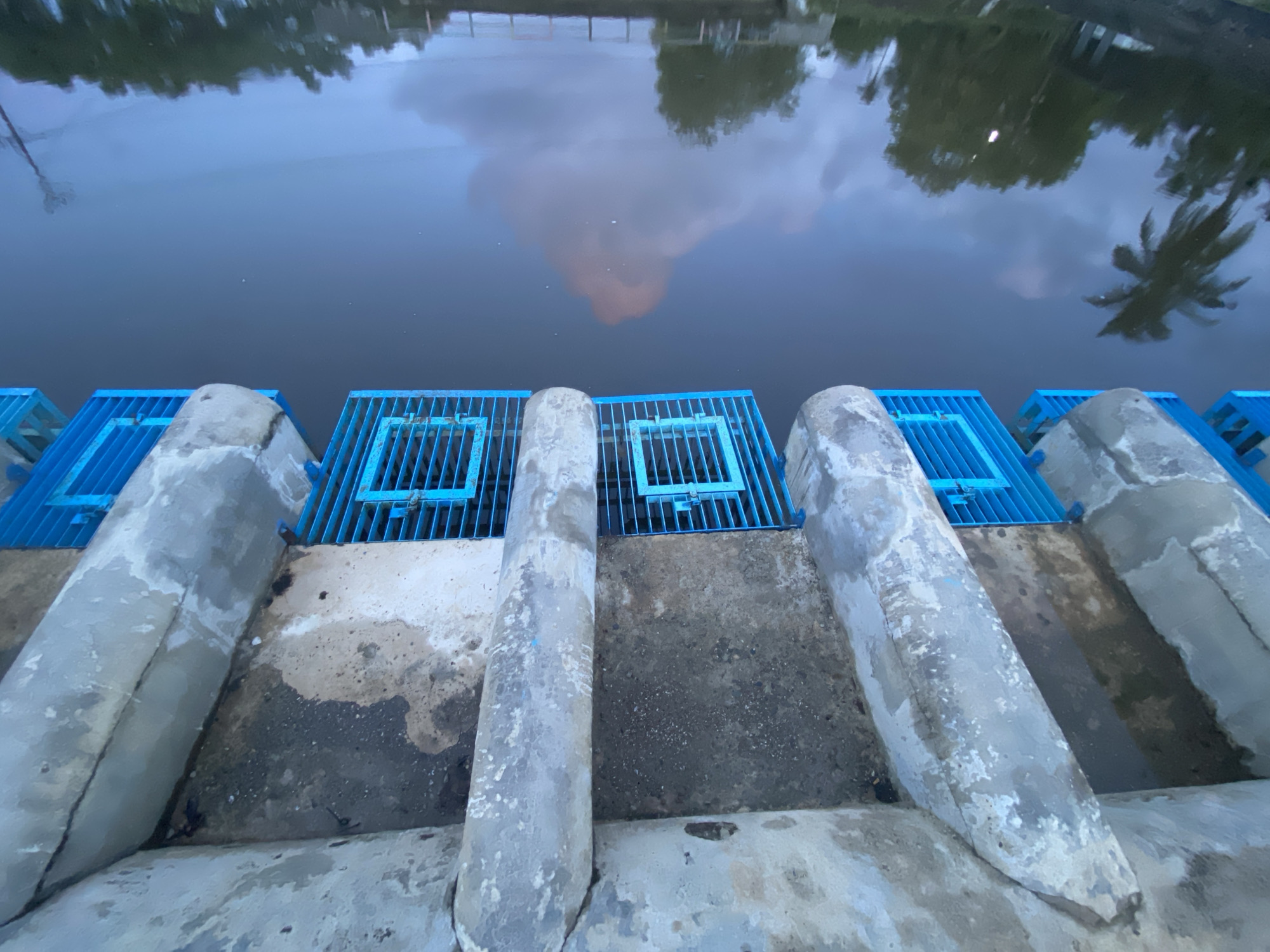 The image shows a concrete structure with a series of blue metal grates leading to a dark body of water. The grates are spaced evenly along the concrete edge. The water's surface reflects the sky and surrounding trees, including a palm tree on the right. The concrete appears weathered and stained. This scene is likely part of an infrastructure at a water body or canal in Aneuk Paya, Indonesia, possibly serving as a drainage or water flow control point. There are no people or animals visible in the image.