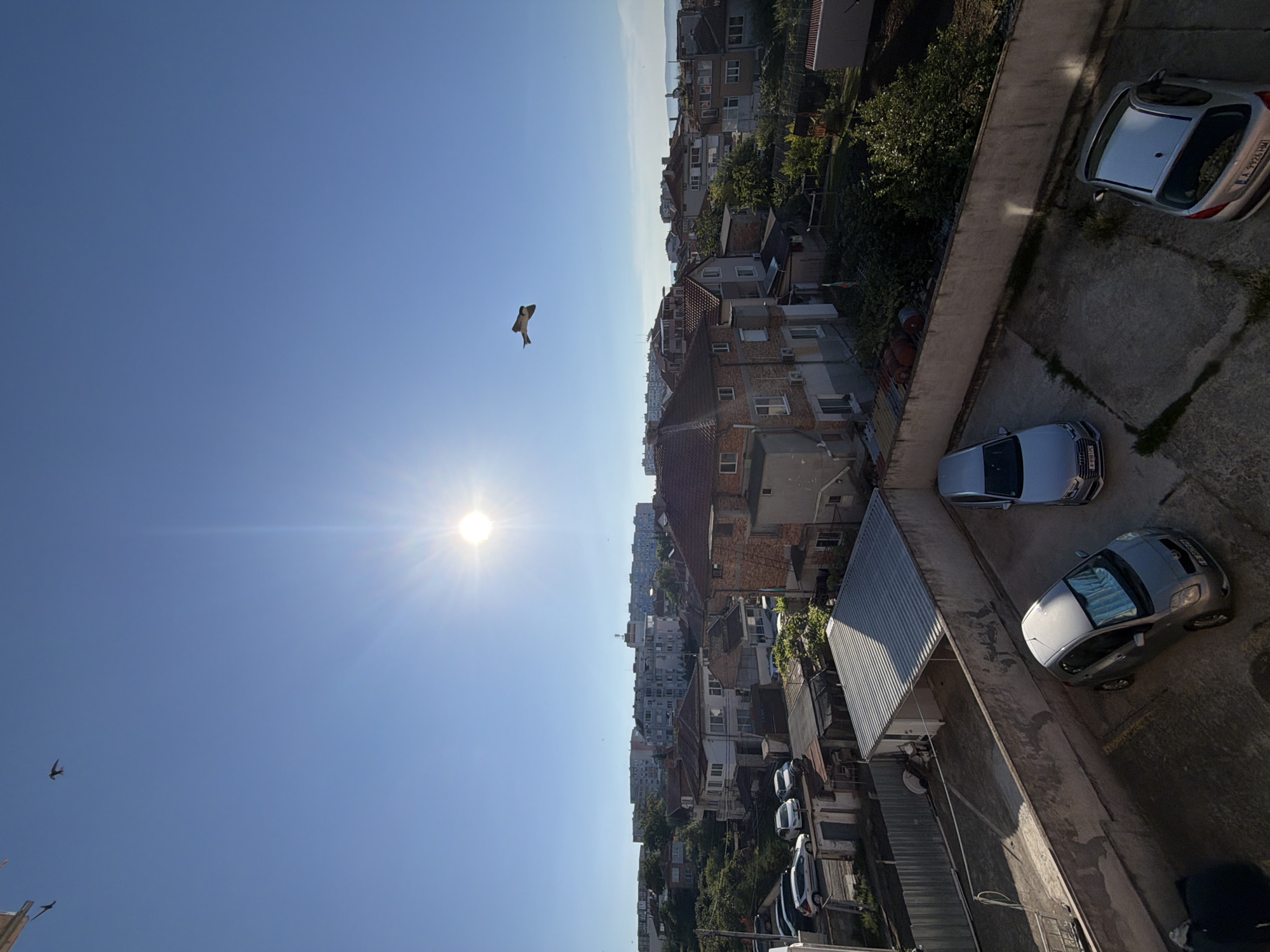 An aerial view captures a sunny day in Burgas, Bulgaria. The foreground features a concrete courtyard with three parked cars: a silver hatchback, a silver sedan, and another silver hatchback. Beyond the courtyard, a collection of residential buildings with red tile roofs and light-colored facades are visible. In the distance, larger apartment buildings dominate the skyline. The sky is a clear, bright blue with the sun shining intensely, casting distinct shadows. Two birds are in flight in the sky, one closer to the sun and another in the upper left corner. Trees and vegetation are interspersed throughout the urban landscape.