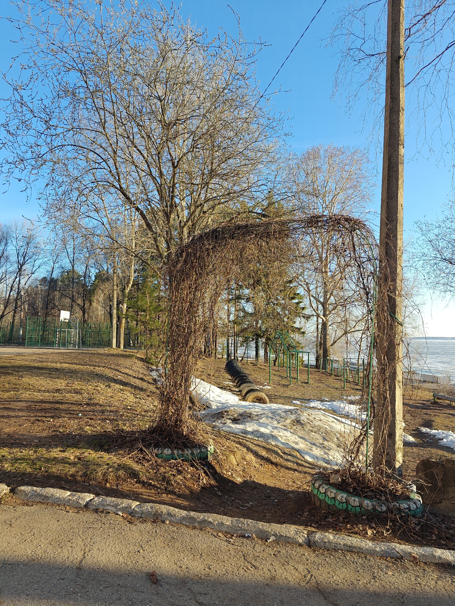The image shows an outdoor scene in Chaikovsky, Russia. In the foreground is an archway structure made of intertwined vines, with its base supported by tires painted with green and white. Behind the archway is a grassy area with patches of snow. In the distance, there is a playground with green metal bars. To the left, a basketball court is visible, surrounded by a green fence. The background includes bare trees against a clear blue sky. A concrete utility pole stands to the right of the archway. A body of water, possibly the Kama River, can be seen in the distance, partially covered in ice.