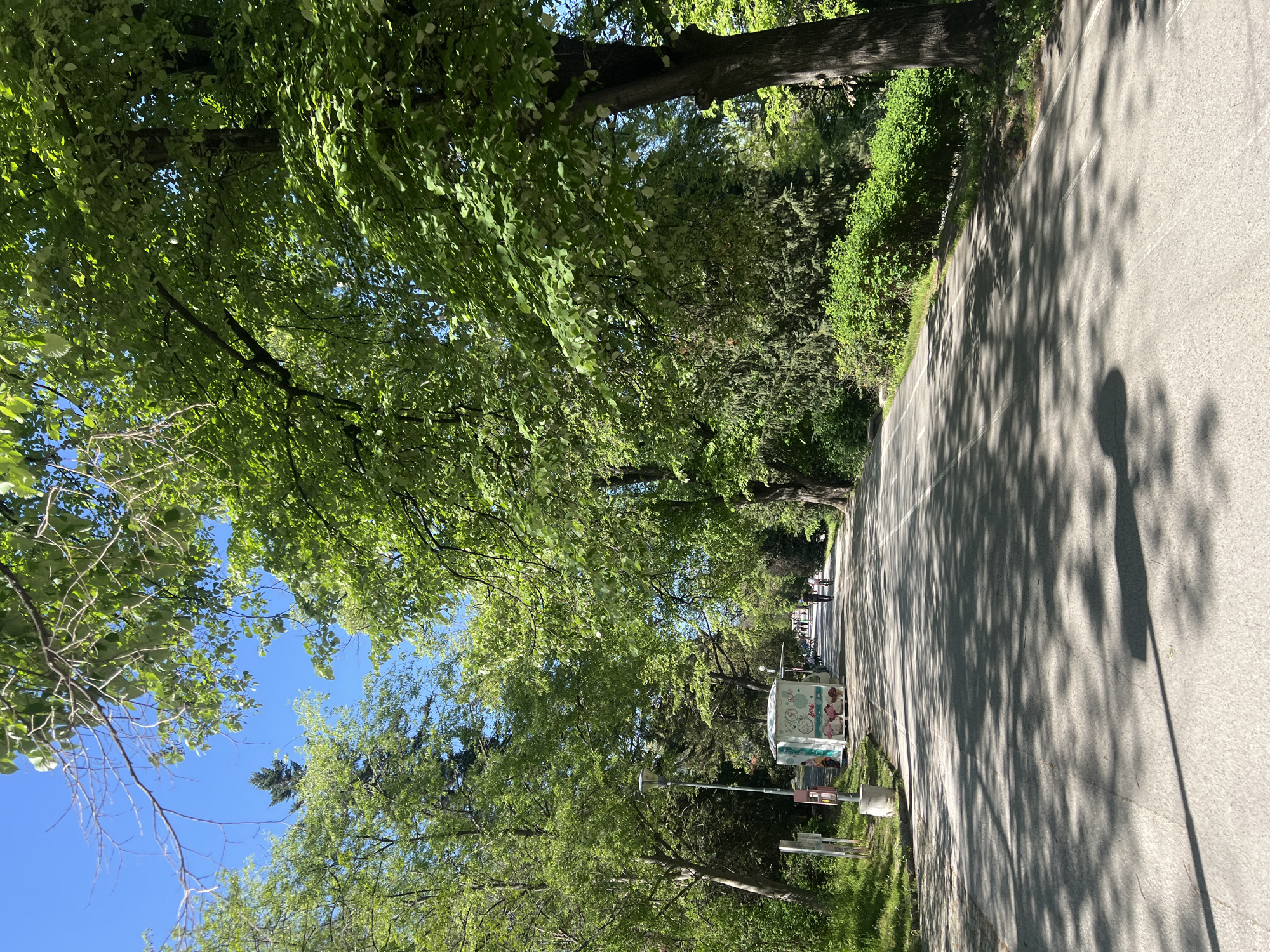 The image shows a tree-lined road in Plovdiv, Bulgaria, partially shaded by trees. The road surface is gray asphalt, with light-colored lane markings down the center. Shadows from the trees dapple the road. On the right side of the road, an ice cream cart is visible, and pedestrians can be seen further down the road. The sky visible between the trees is blue and clear. The environment appears to be a park.
