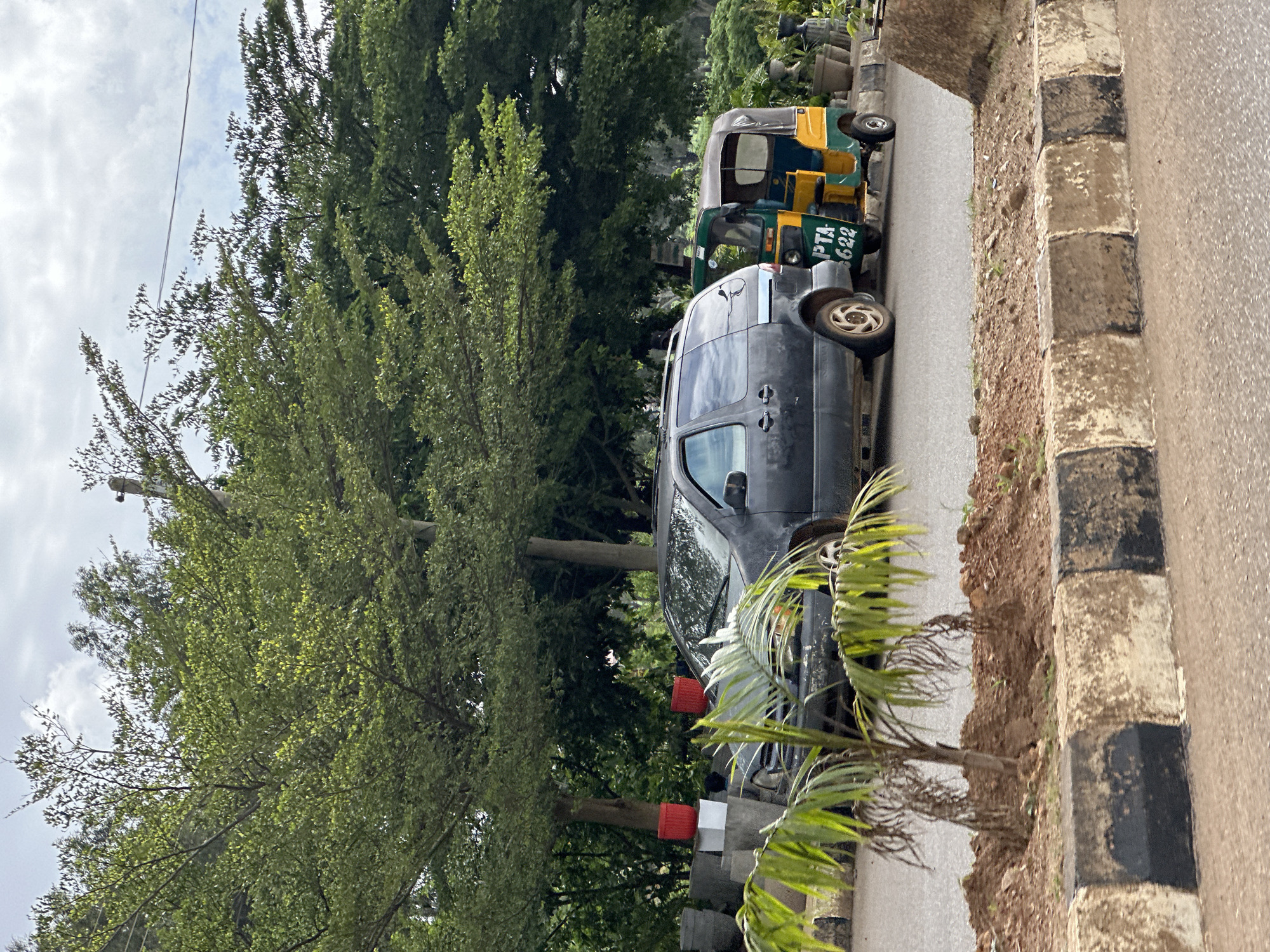 In Bar Jirgi Summa, Nigeria, a dark gray minivan is parked on a paved road next to a yellow and green auto-rickshaw. The auto-rickshaw has the license plate "PTA 622". A small palm tree with wilting fronds grows from a mound of brown soil in the foreground, separated from the road by a concrete curb with black and light-colored rectangular blocks. Behind the vehicles, a dense line of green trees forms a backdrop under a cloudy sky. Several large potted plants are visible behind the minivan.