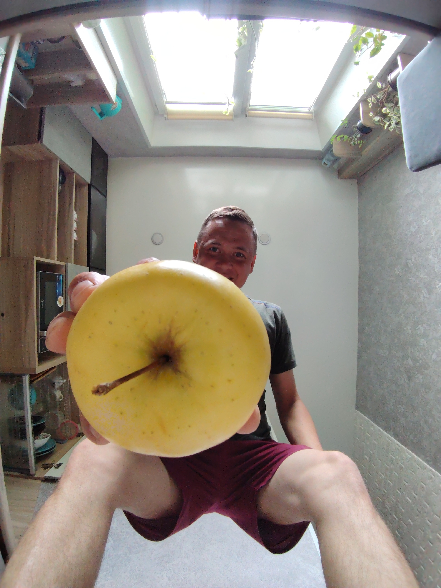 A man is holding a yellow apple in front of a camera in what appears to be a bathroom. The man has short hair and is wearing a dark shirt and maroon shorts. A skylight is visible above, and a shelf with plants sits on the right. There is a cabinet and possibly a microwave on the left. The wall on the right is textured. The location is Chaikovsky, Russia.