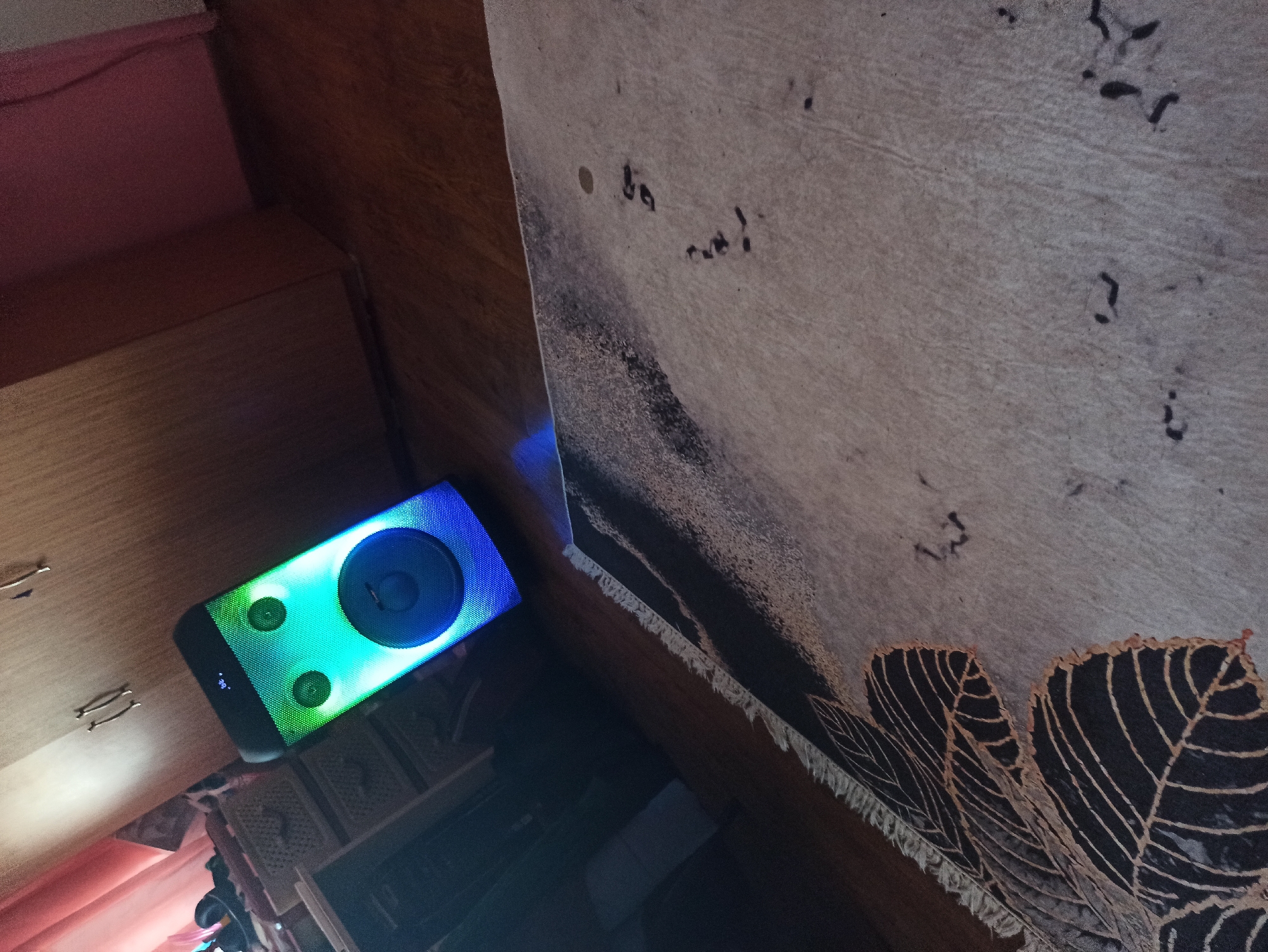 A room interior contains a speaker, furniture, and part of a decorated wall. The speaker, illuminated with green and blue lights, rests on a wooden surface next to a wall with a beige and black leaf pattern. Additional wooden furniture with drawers and other storage items are visible in the background. The location is unknown.